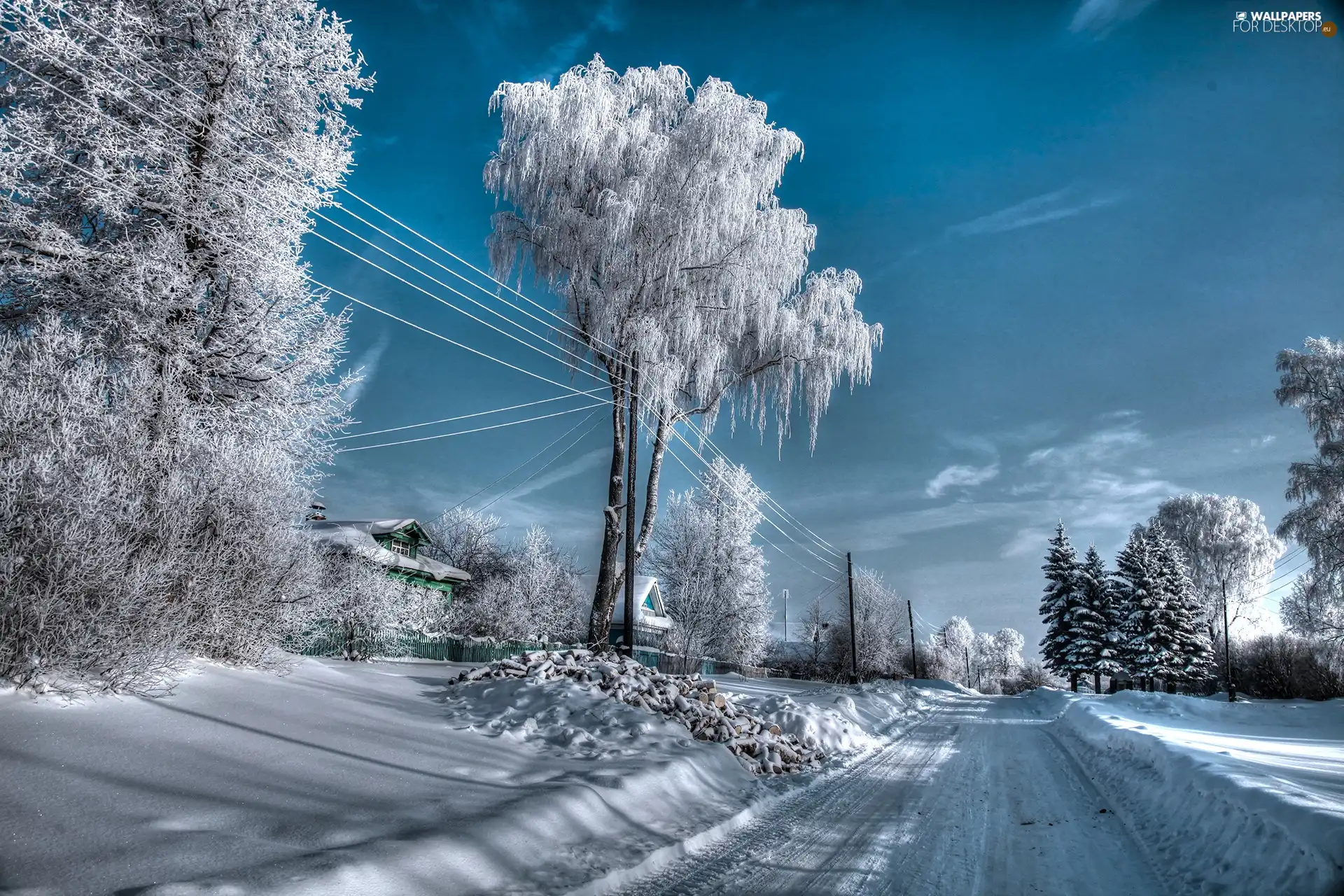 snow, winter, viewes, Way, trees