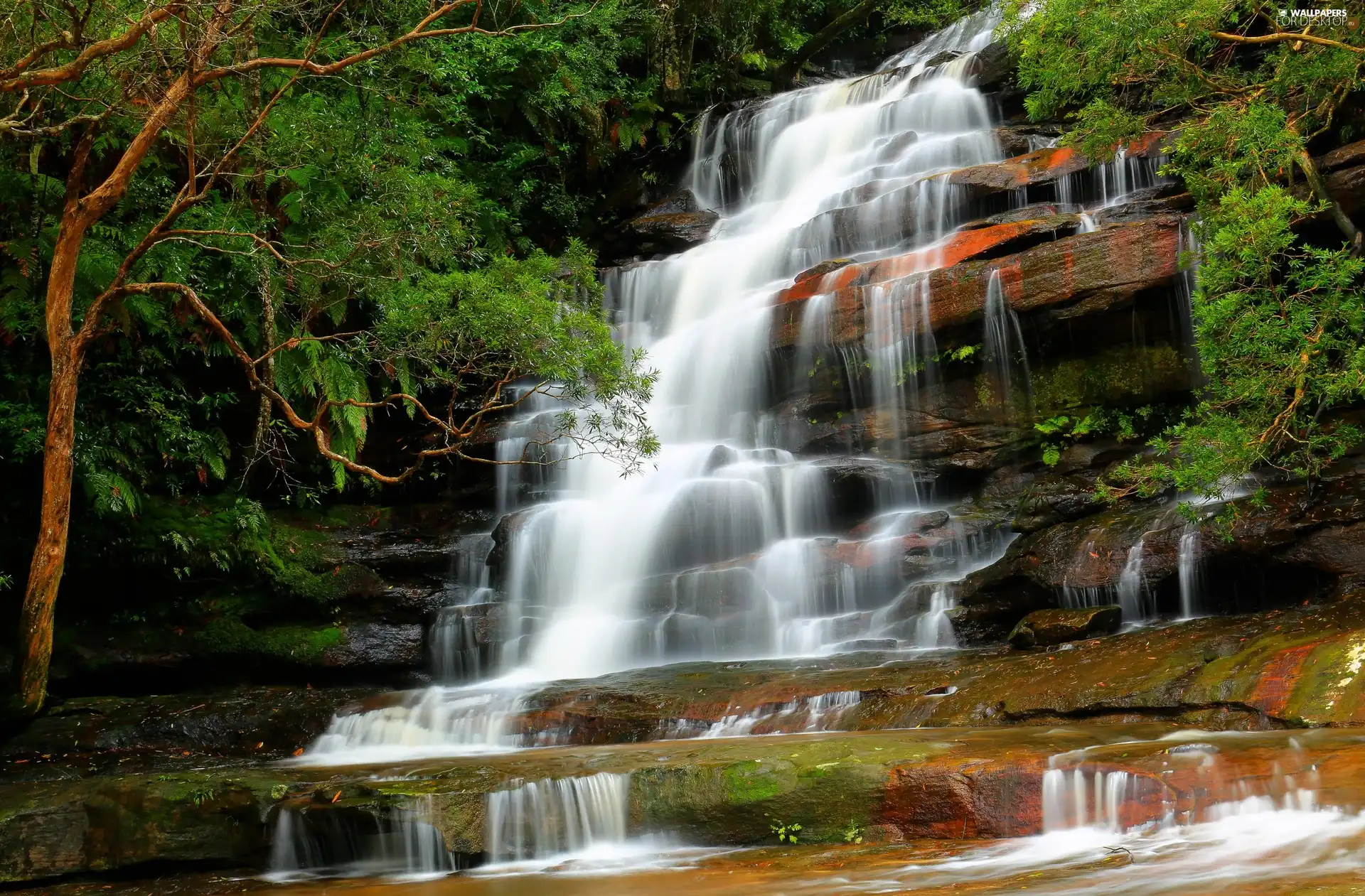 Brisbane Water National Park, New South Wales