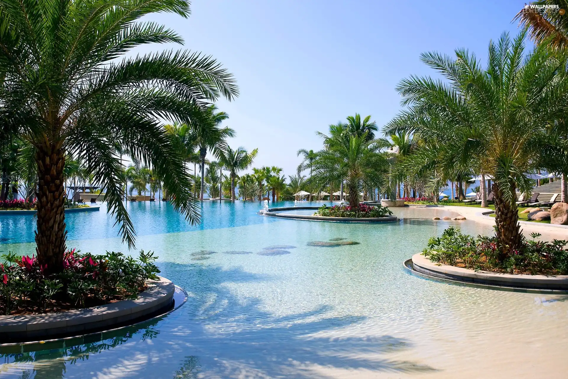 spa, tropic, Pool, Palms, Hotel hall