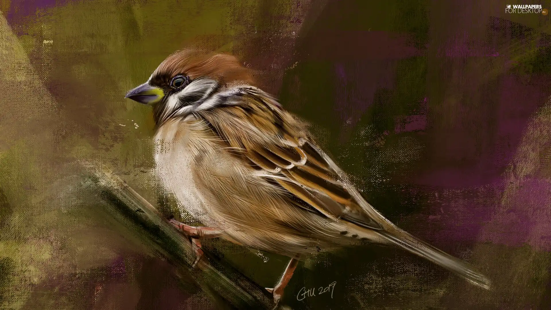 Bird, twig, graphics, sparrow