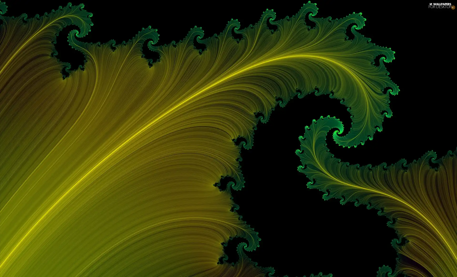 graphics, Fraktal, spiral, abstraction