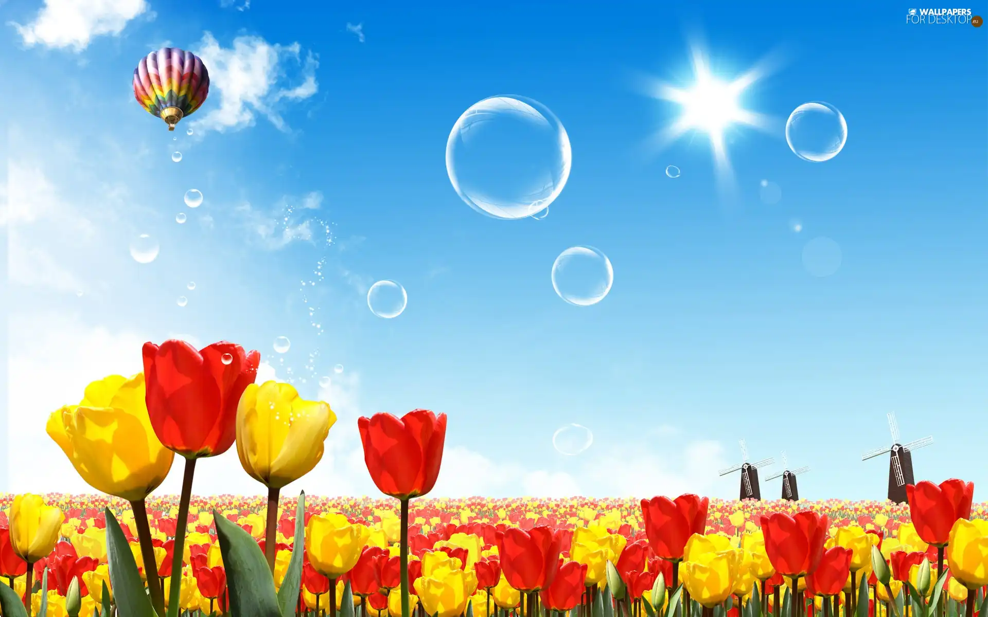 Spring, Tulips, Balloon