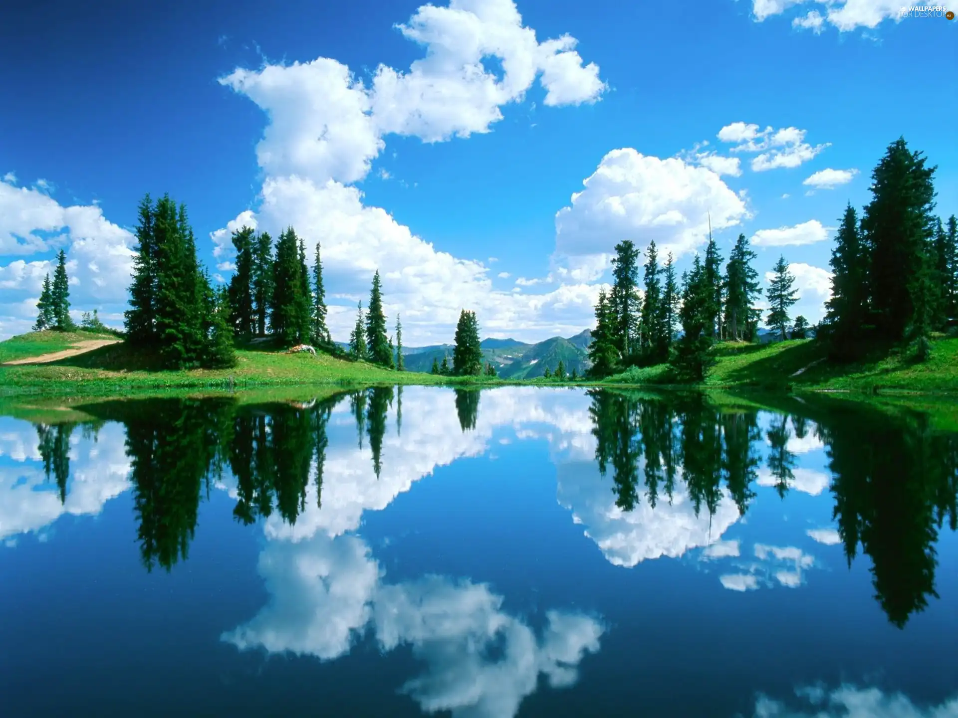 beatyfull, clouds, Spruces, lake