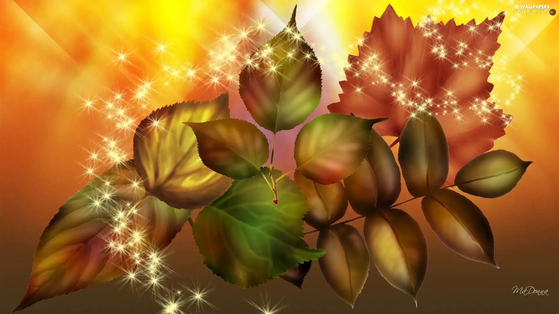 Stars, Autumn, Leaf