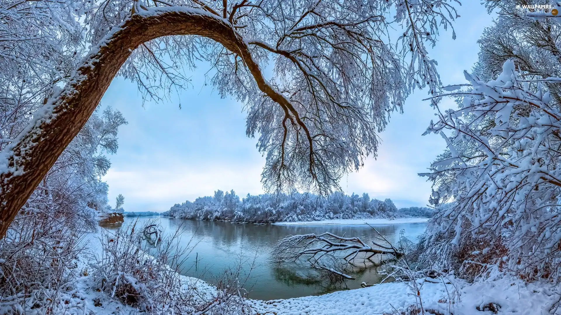 Stavropol Krai, Russia, snow, Snowy, viewes, Terek River, winter, trees