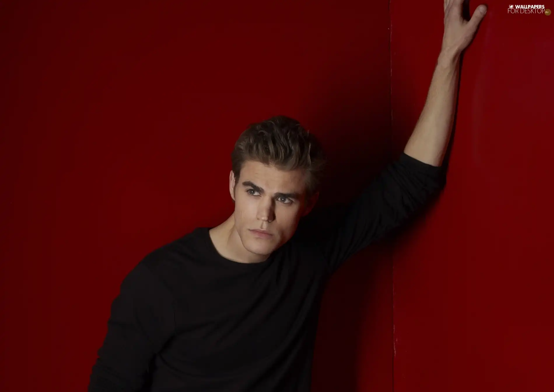 Paul Wesley, Stefan Salvatore