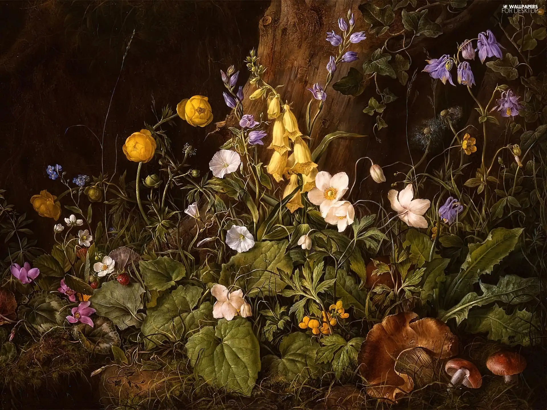 Flowers, Franz Xaver Petter, still life