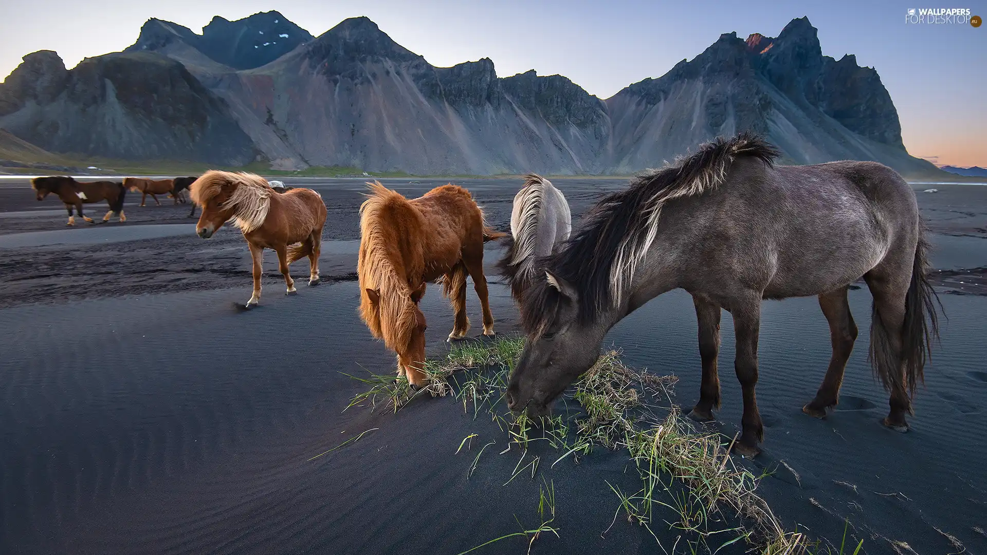 Stokksnes Beach, Vestrahorn mountain, dark, Mountains, bloodstock, iceland, Sand