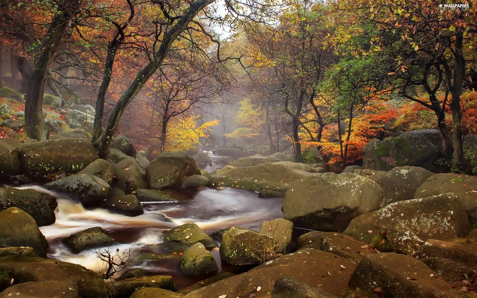 autumn, stream, Stones, forest