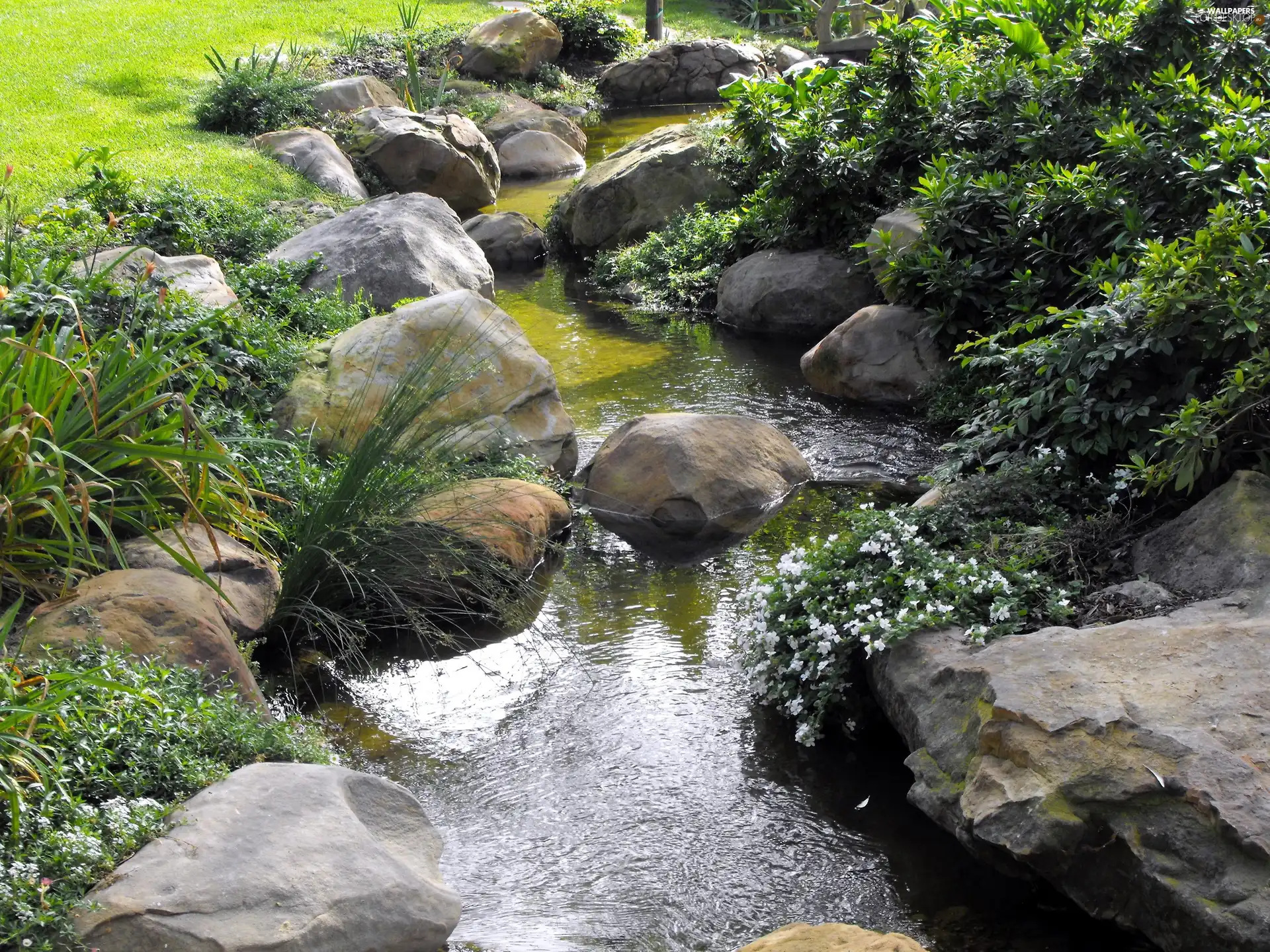 Stones, Meadow, brook