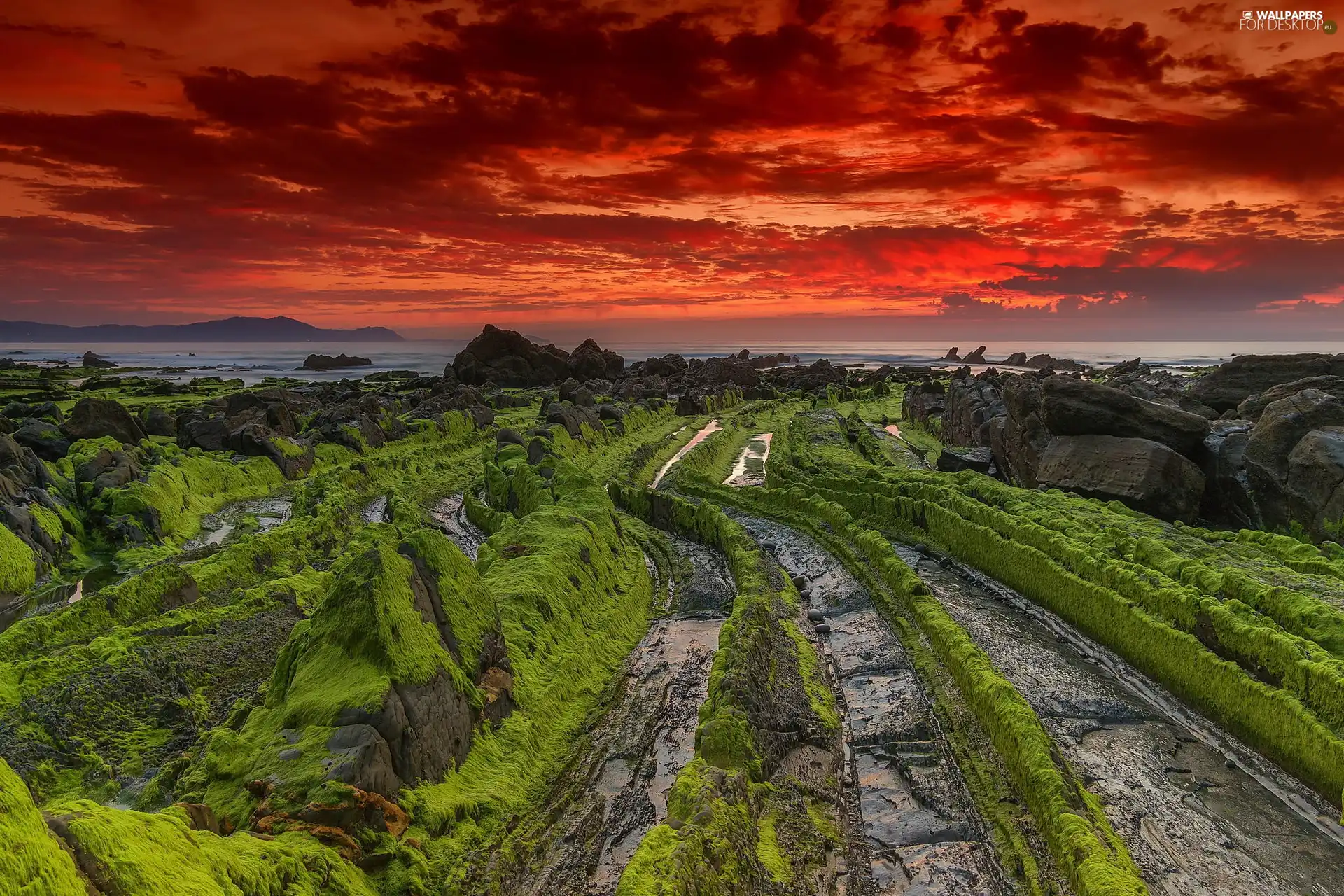 Stones rocks, Moss, sun, sea, west
