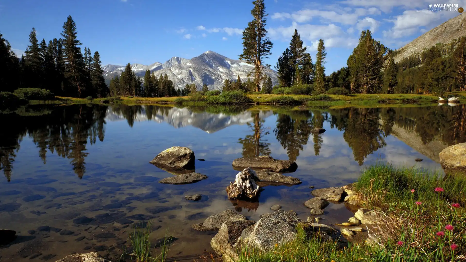 Mountains, River, Stones, forest