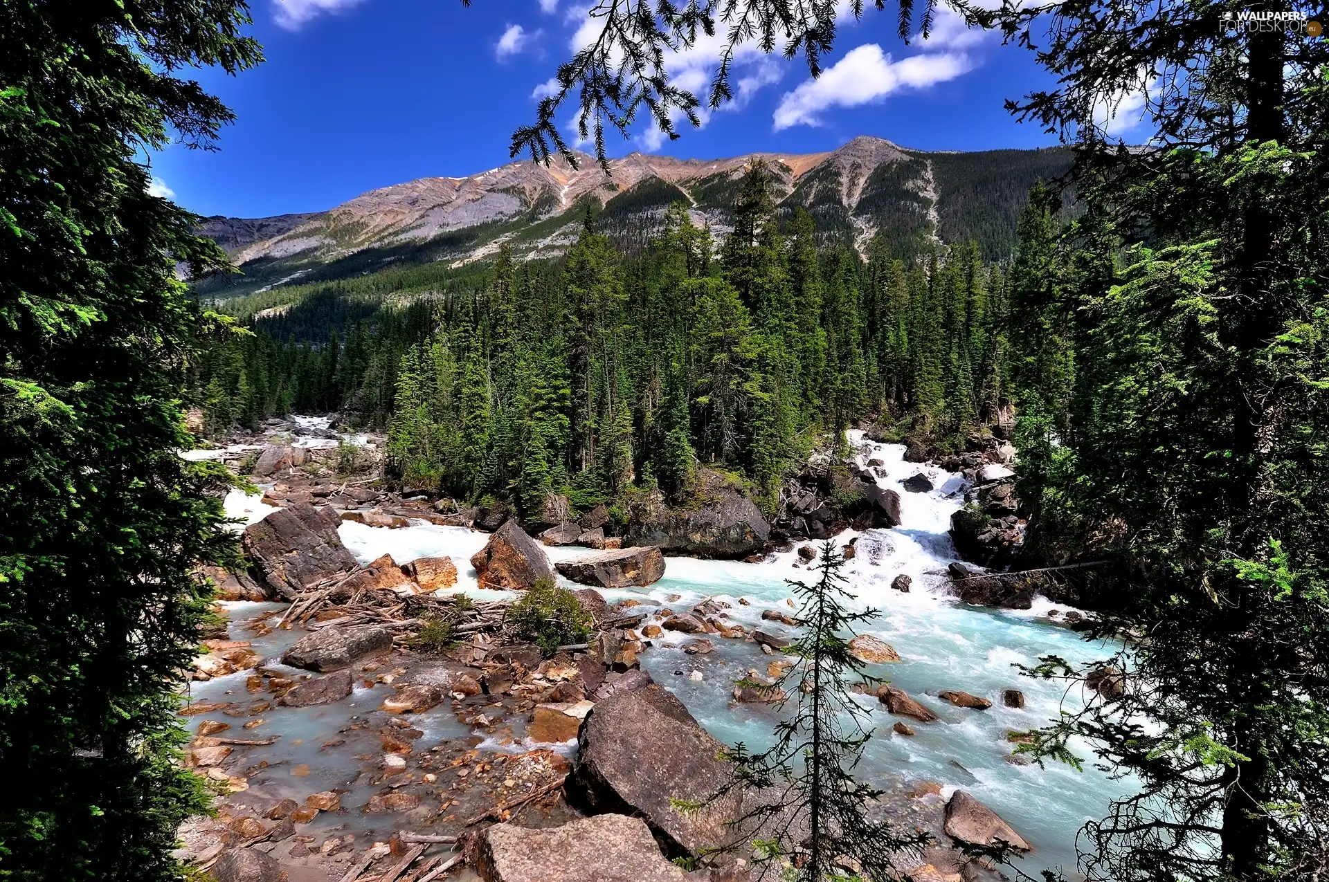 Mountains, stream, Stones, Spruces