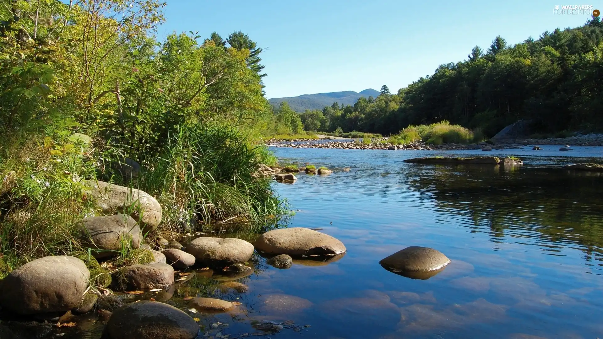 Stones, River, scrub