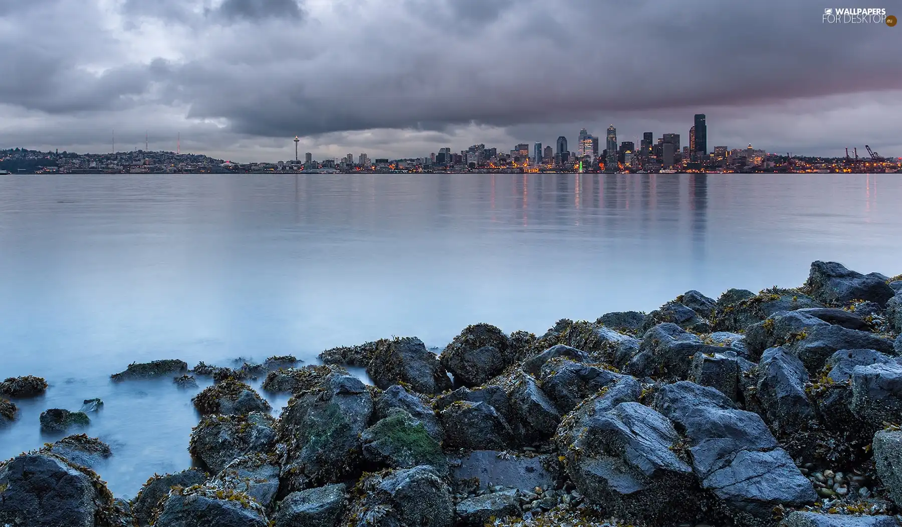 Stones, Seatle, sea