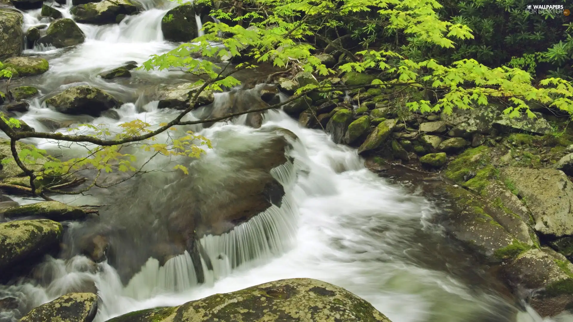 Stones, mountainous, stream