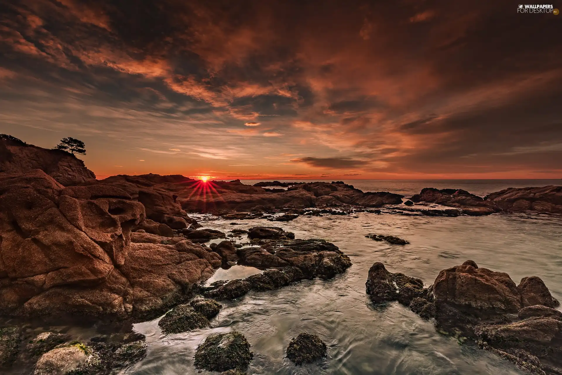 sea, Great Sunsets, Stones, trees, rocks, Coast