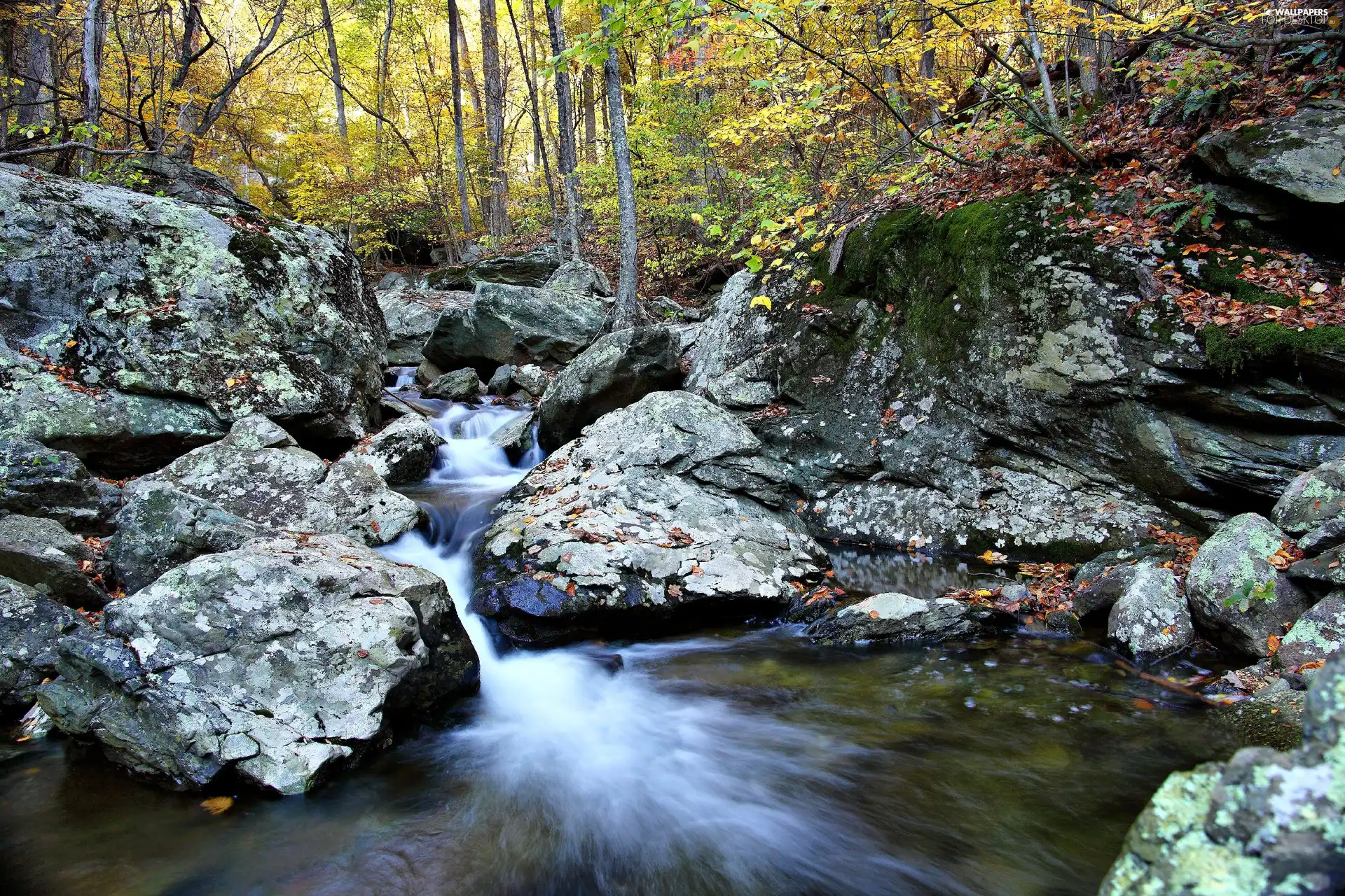 Stones, autumn, waterfall