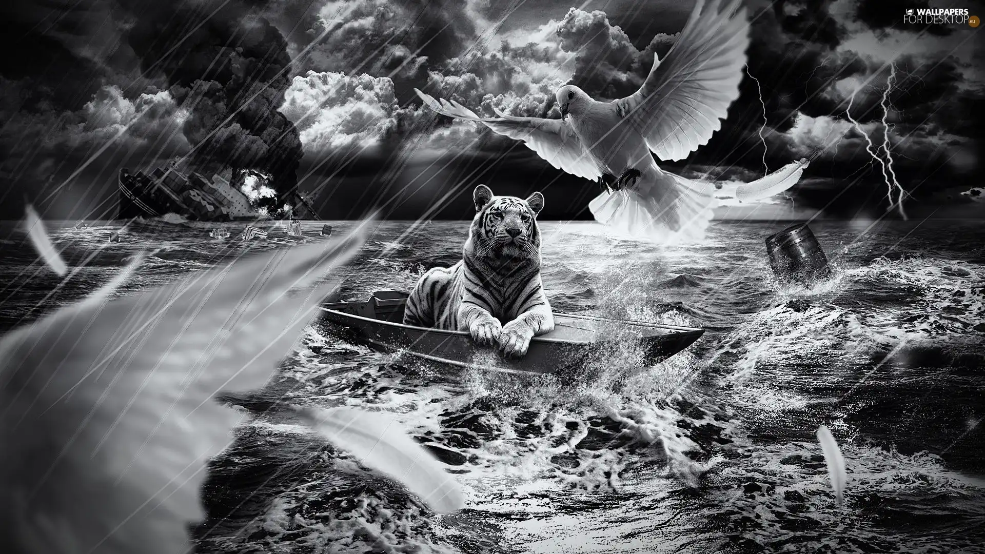 tiger, sea, Storm, Ship