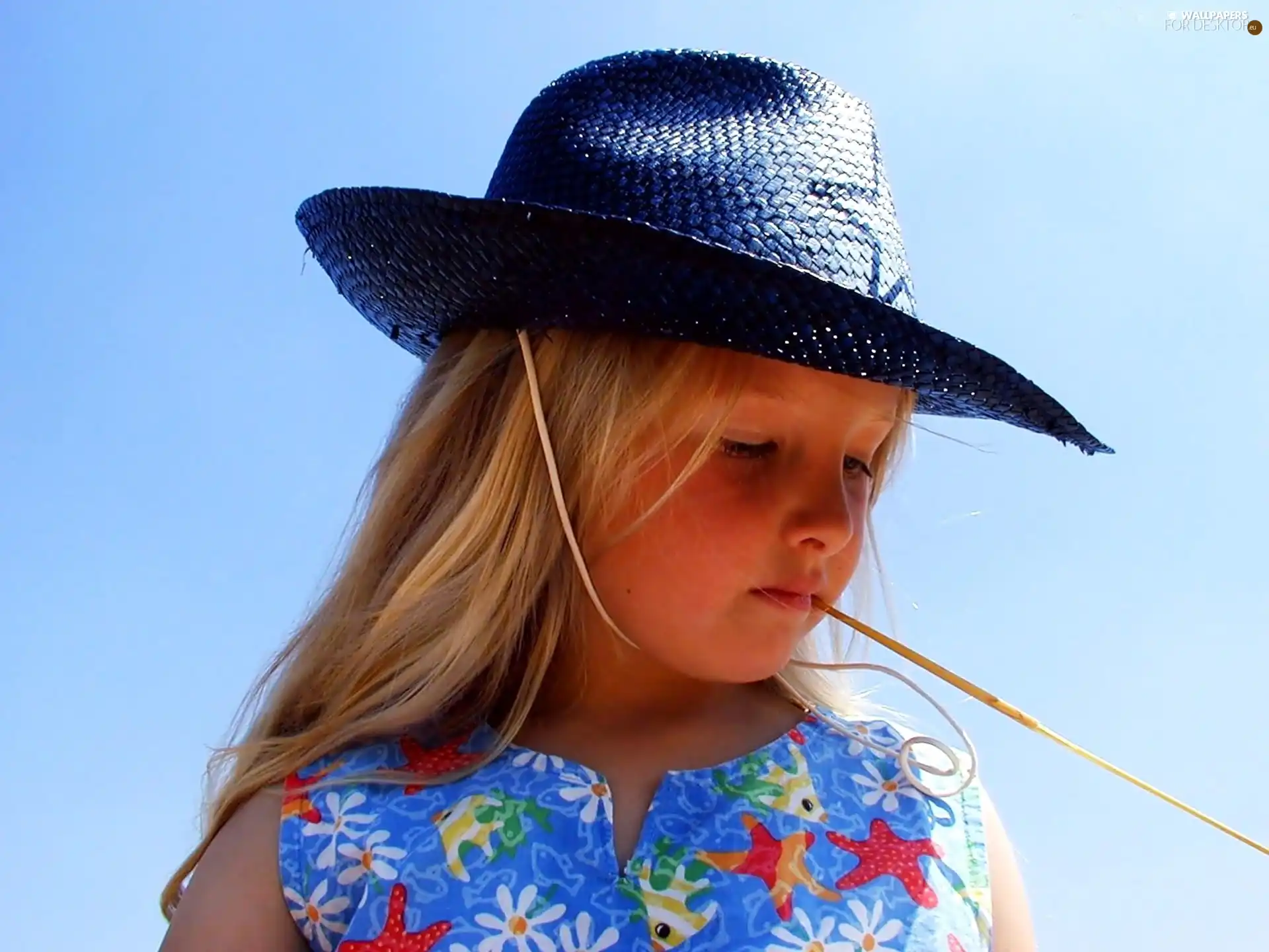 Straw, girl, Hat