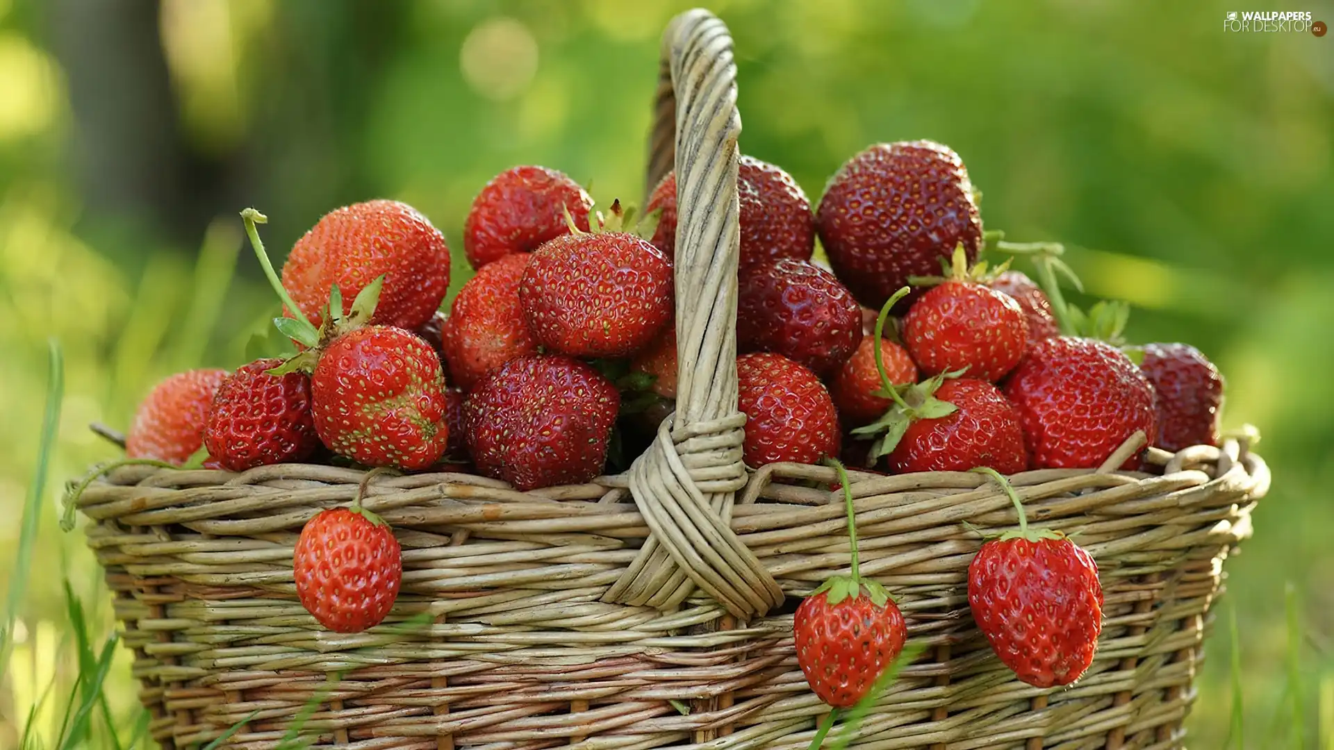 strawberries, wicker, basket