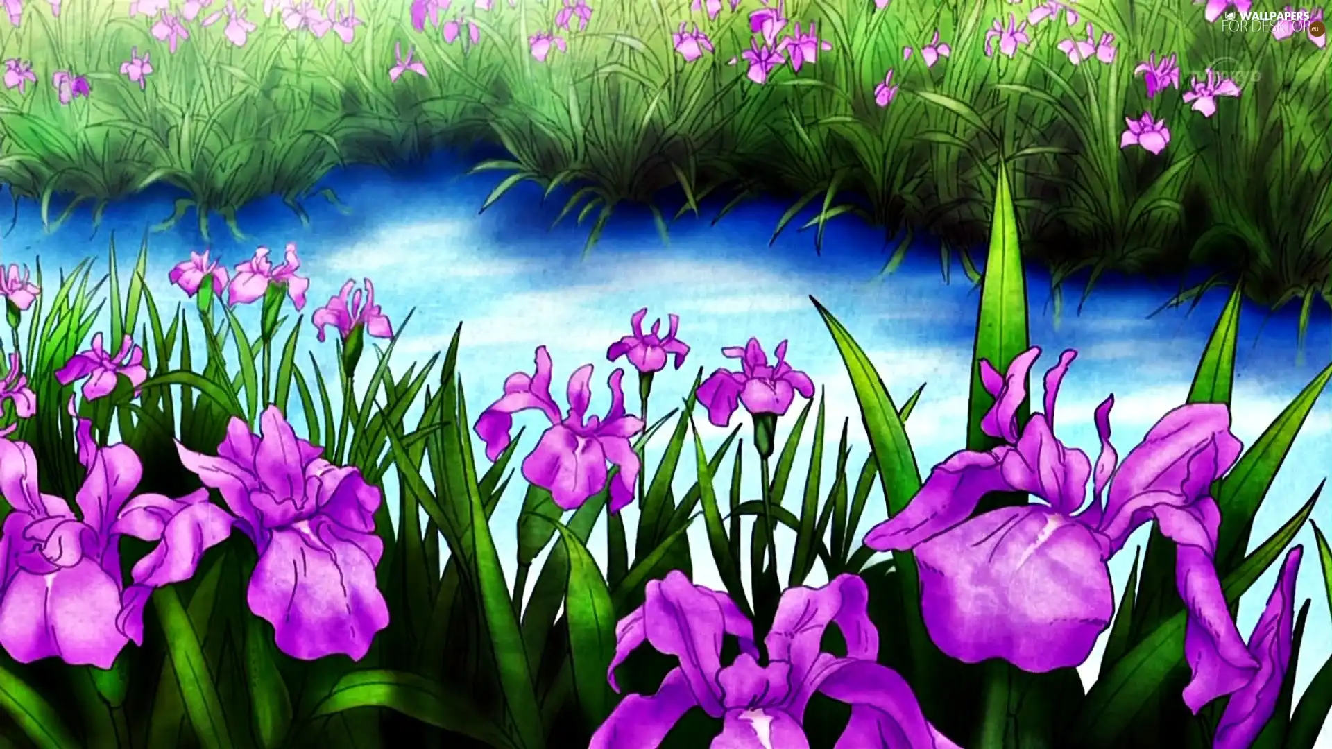 stream, purple, Flowers