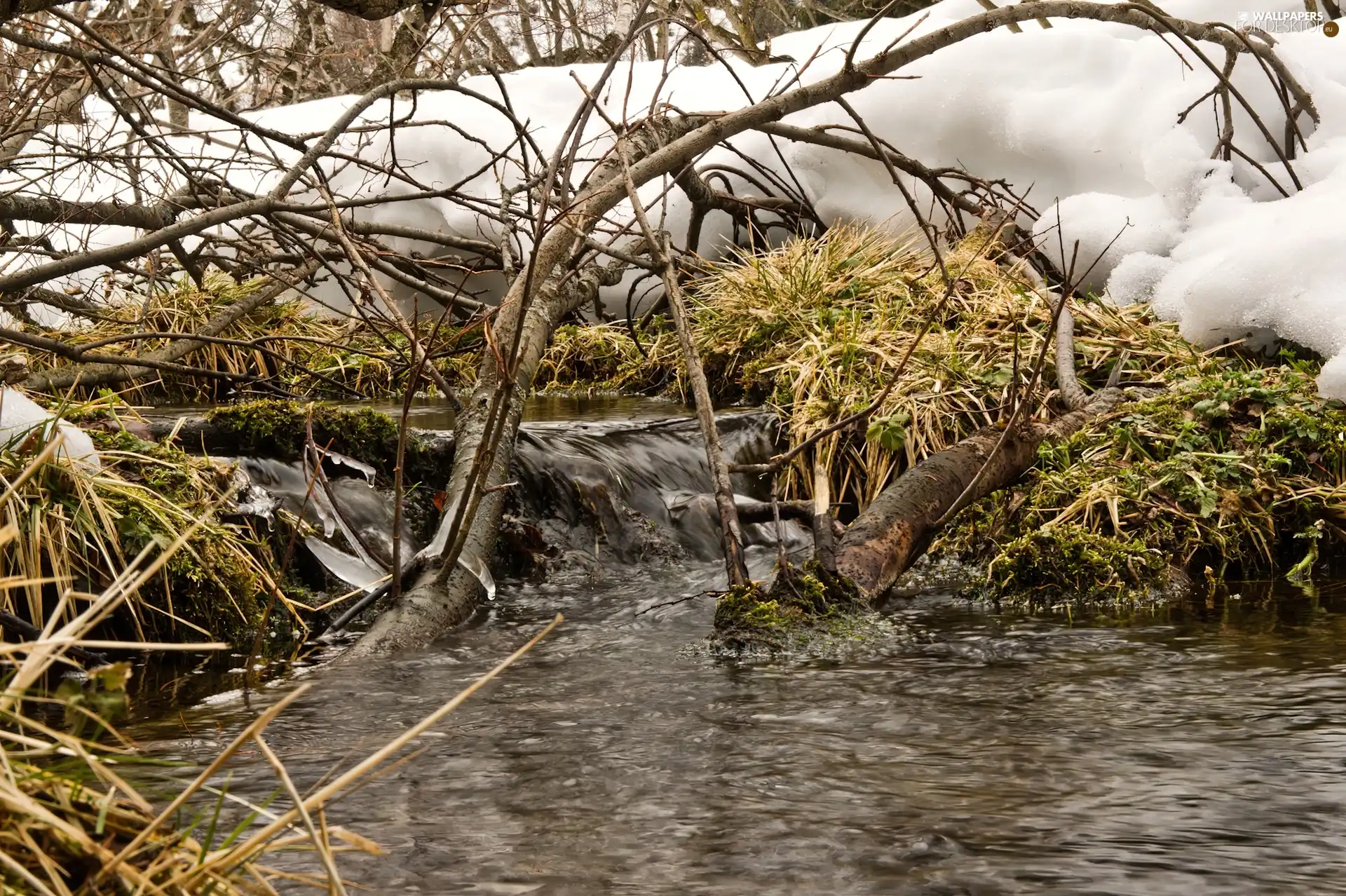 winter, stream