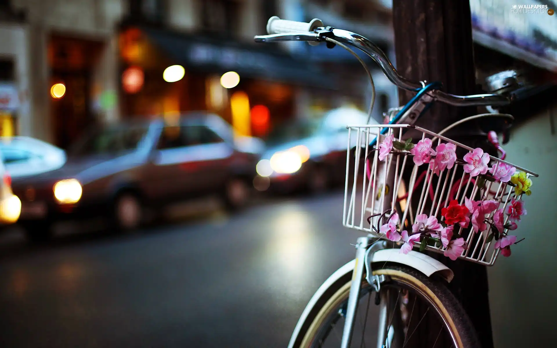Bike, Town, Street, Flowers
