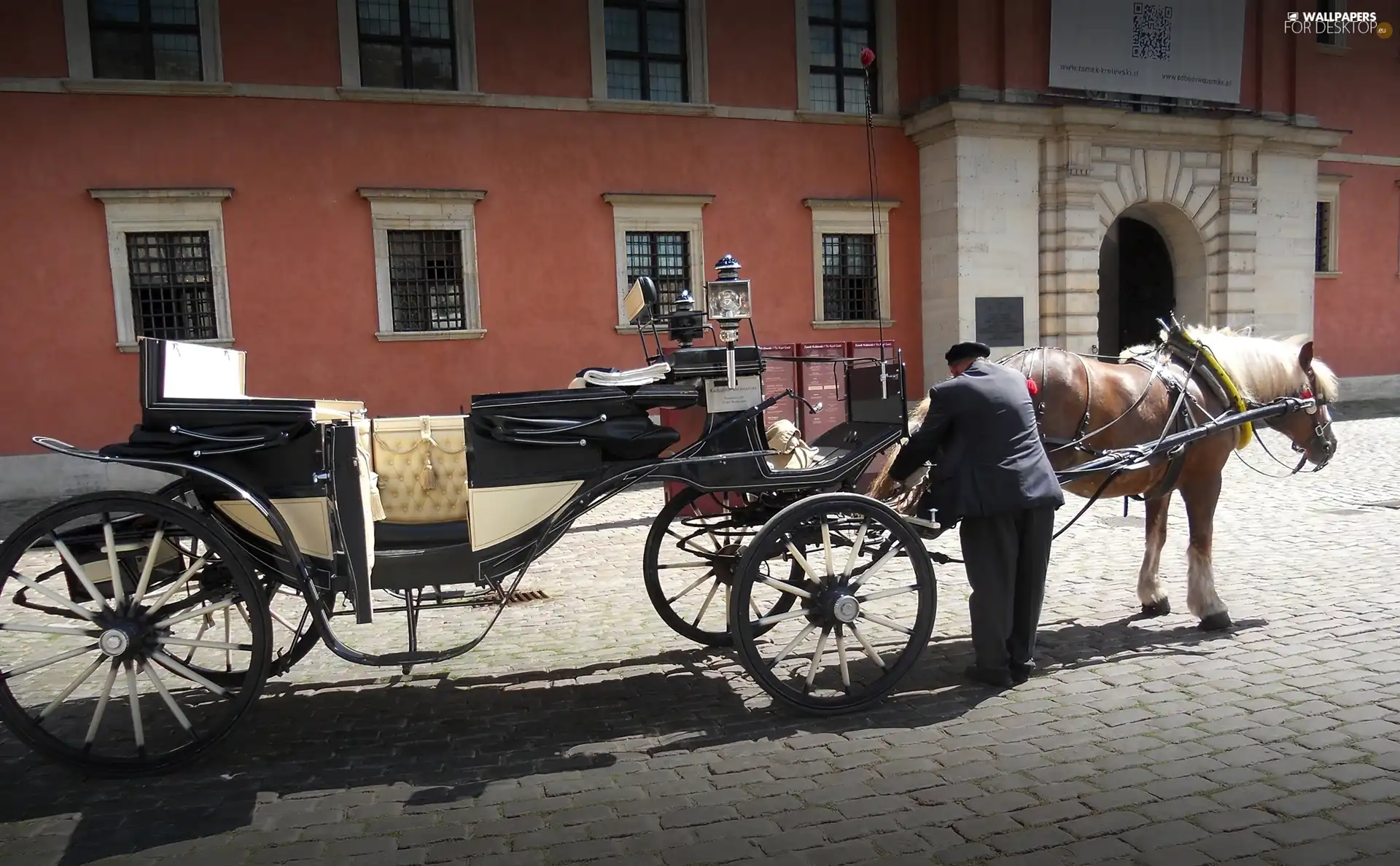 Street, cab, Horse