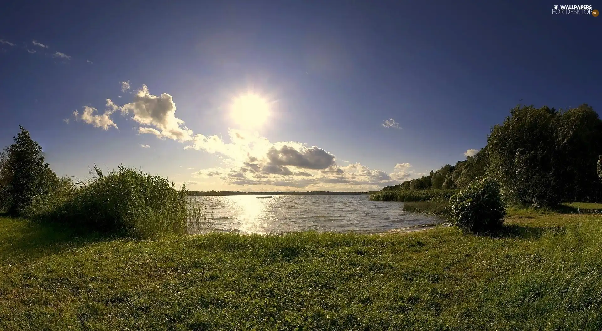 viewes, lake, sun, clouds, grass, trees