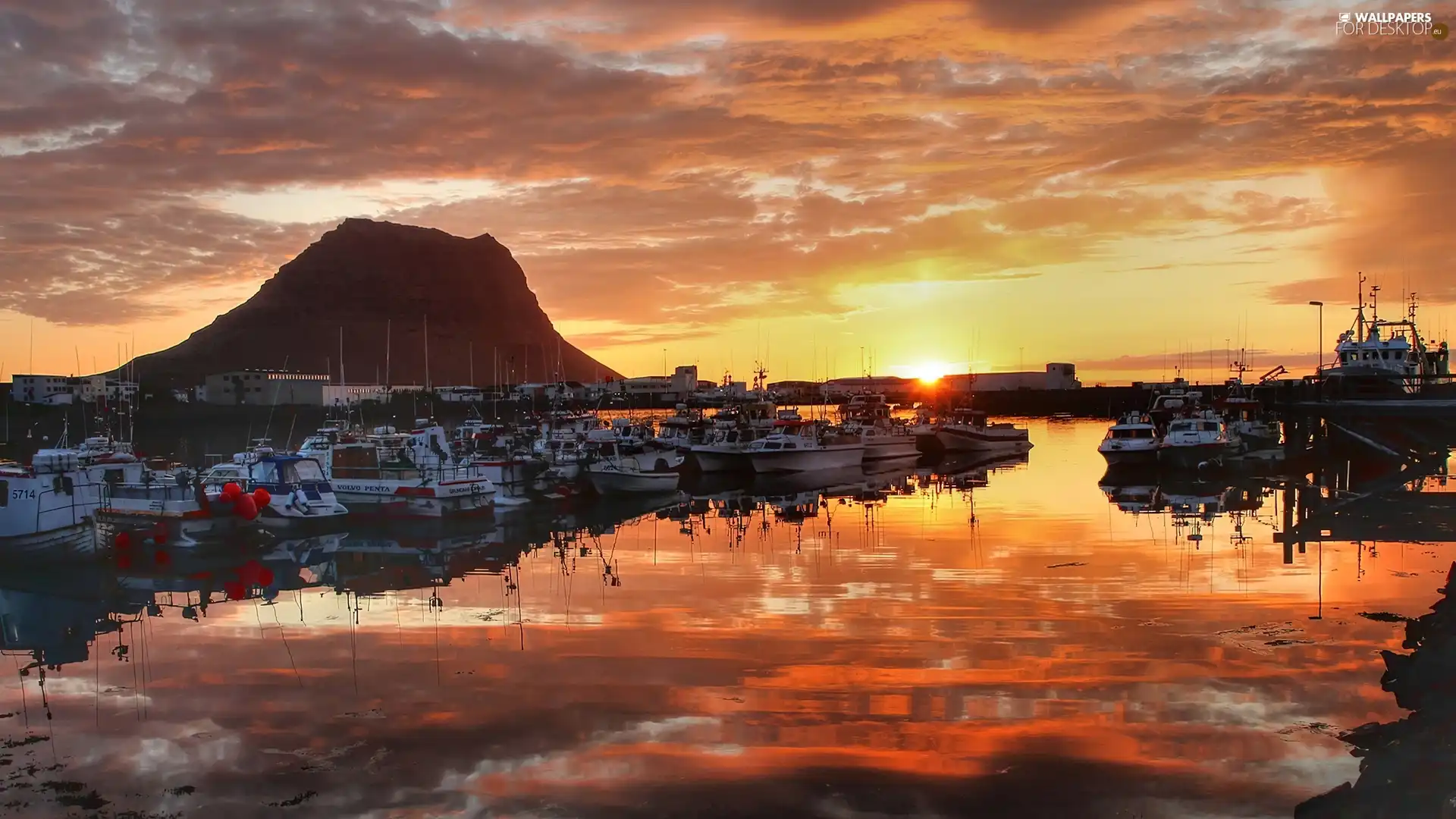 Harbour, west, sun, Boats