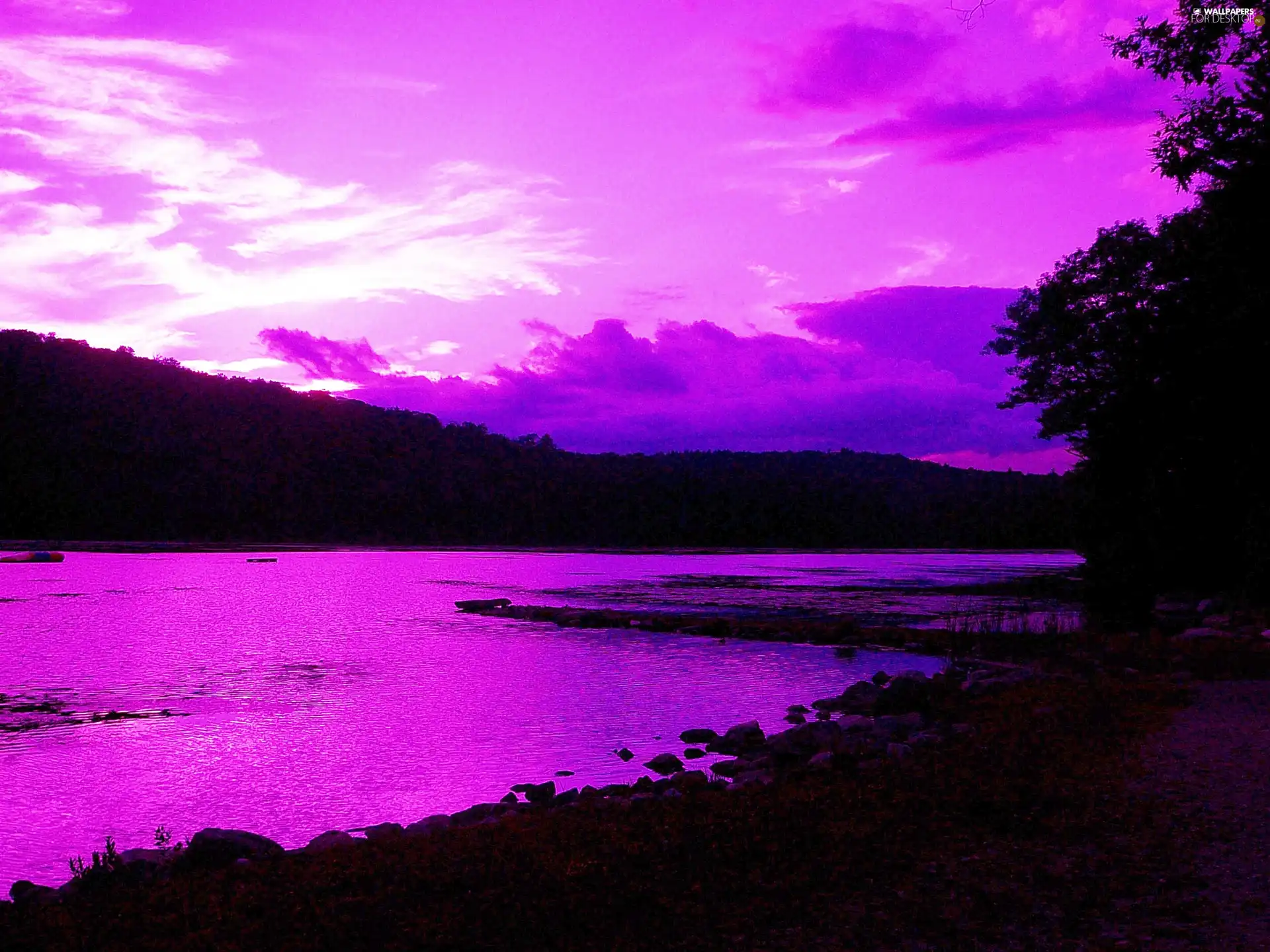 ligh, dawn, flash, Przebijające, River, sun, luminosity