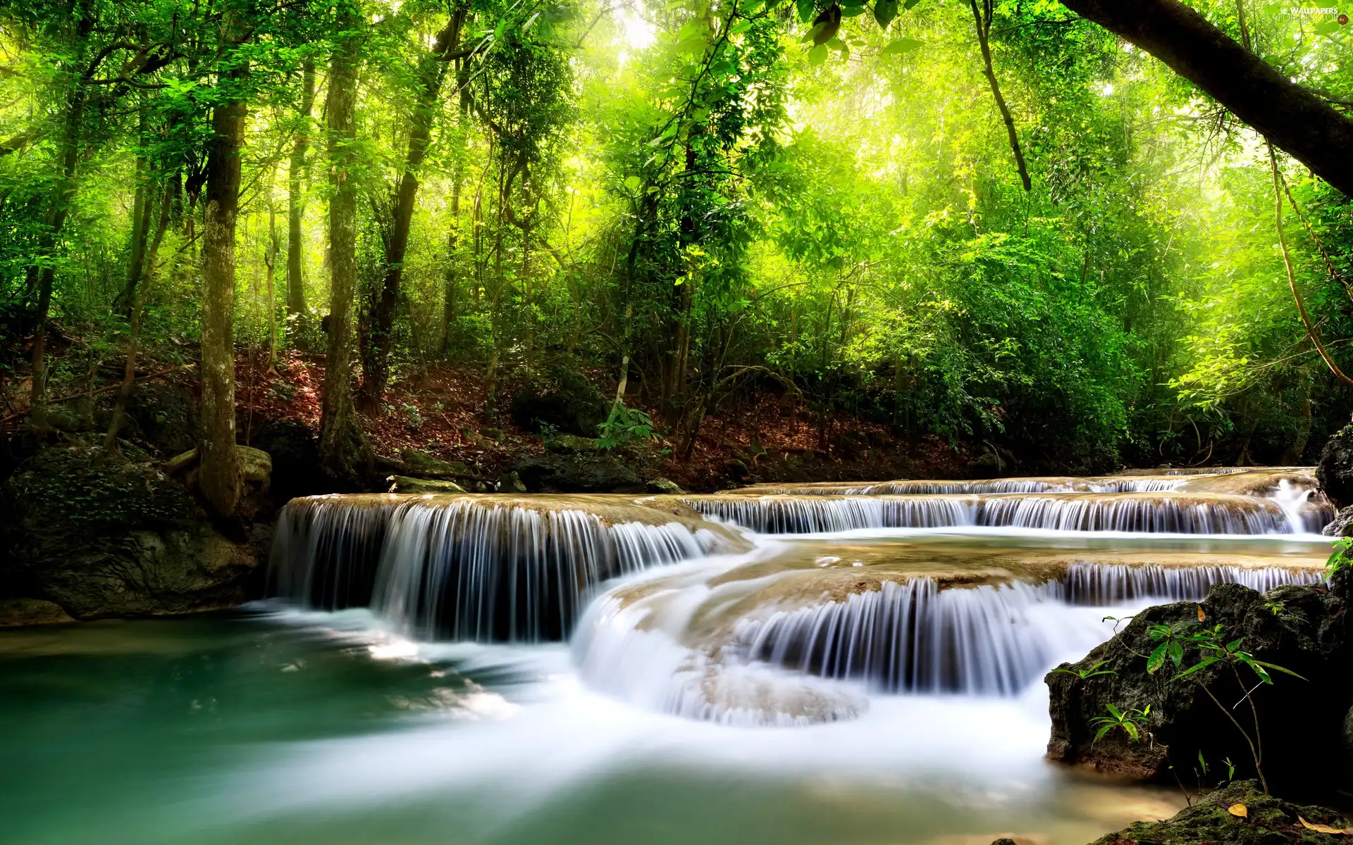 ligh, forest, flash, Przebijające, waterfall, sun, luminosity