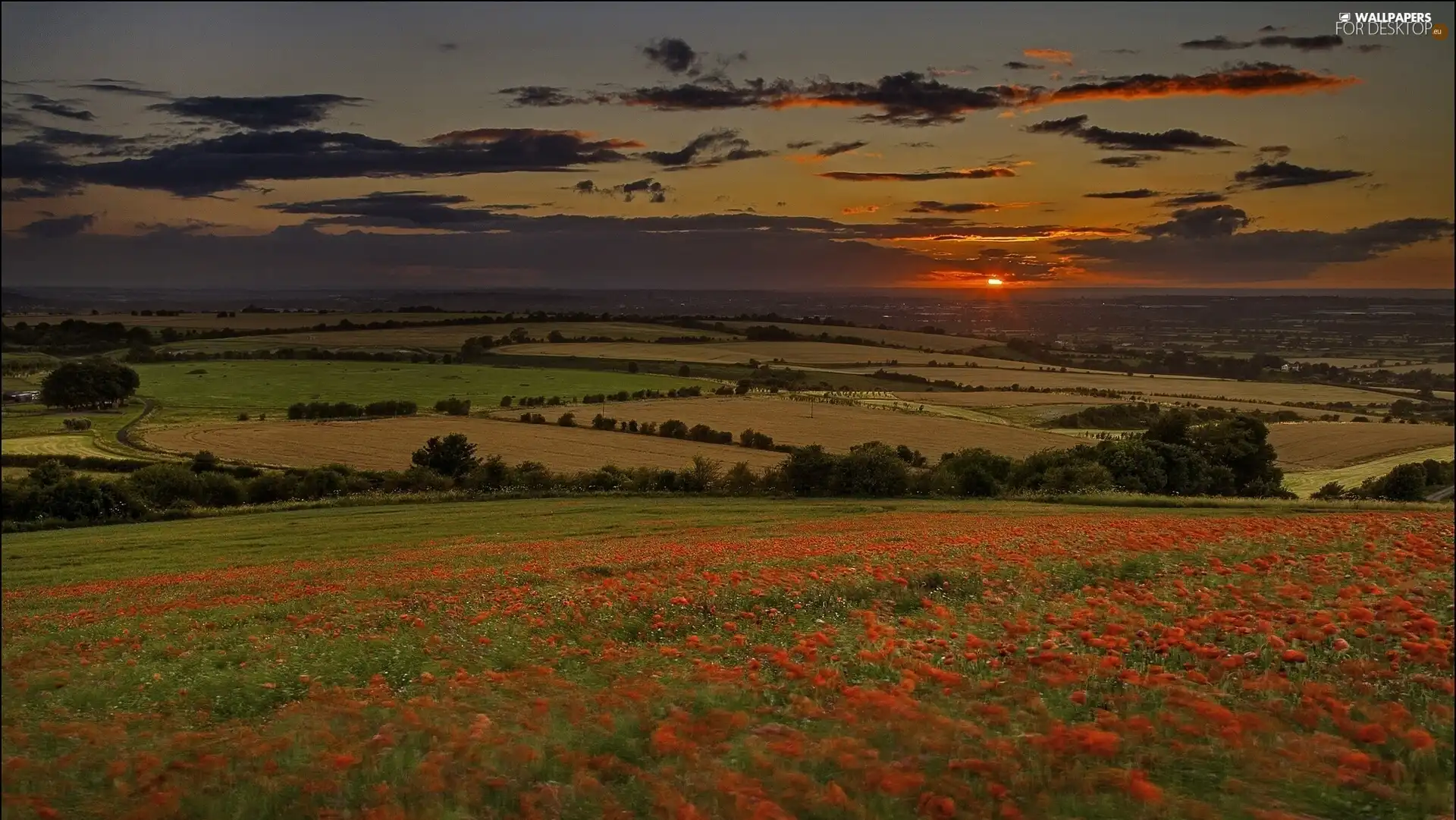 sun, panorama, medows, west, field