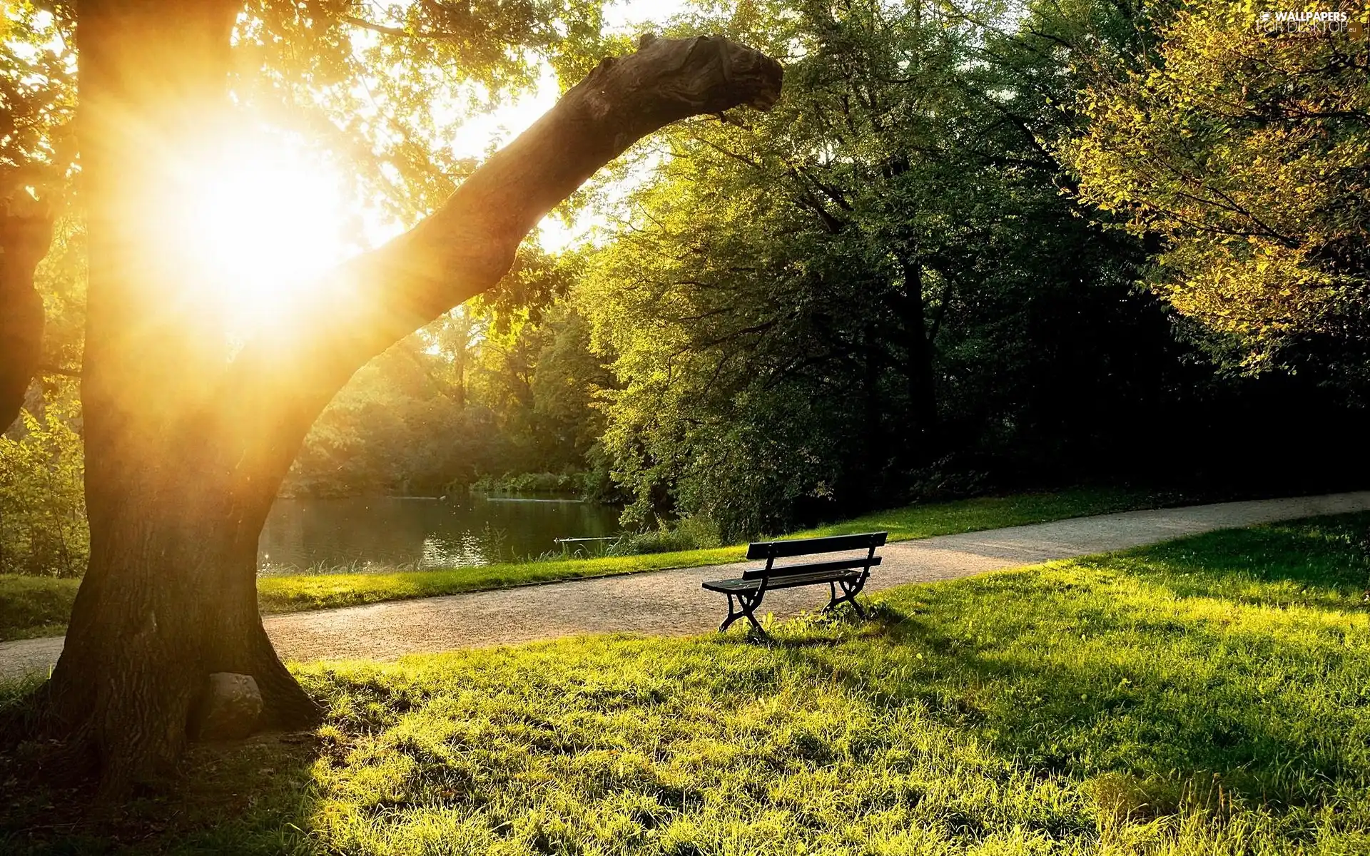 Park, Przebijające, sun, Bench