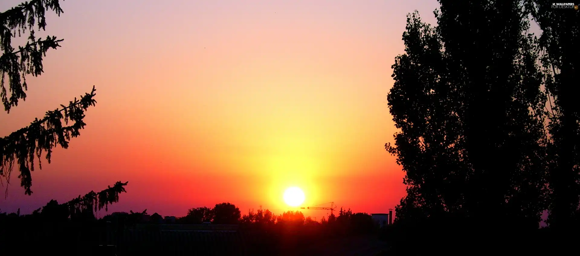 sun, Sky, viewes, west, trees