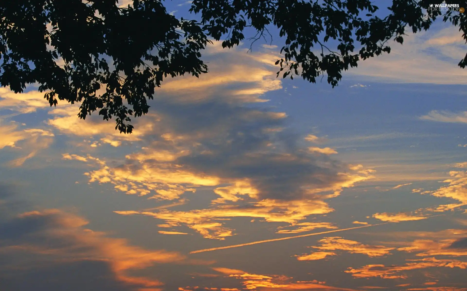 Sky, west, sun, clouds