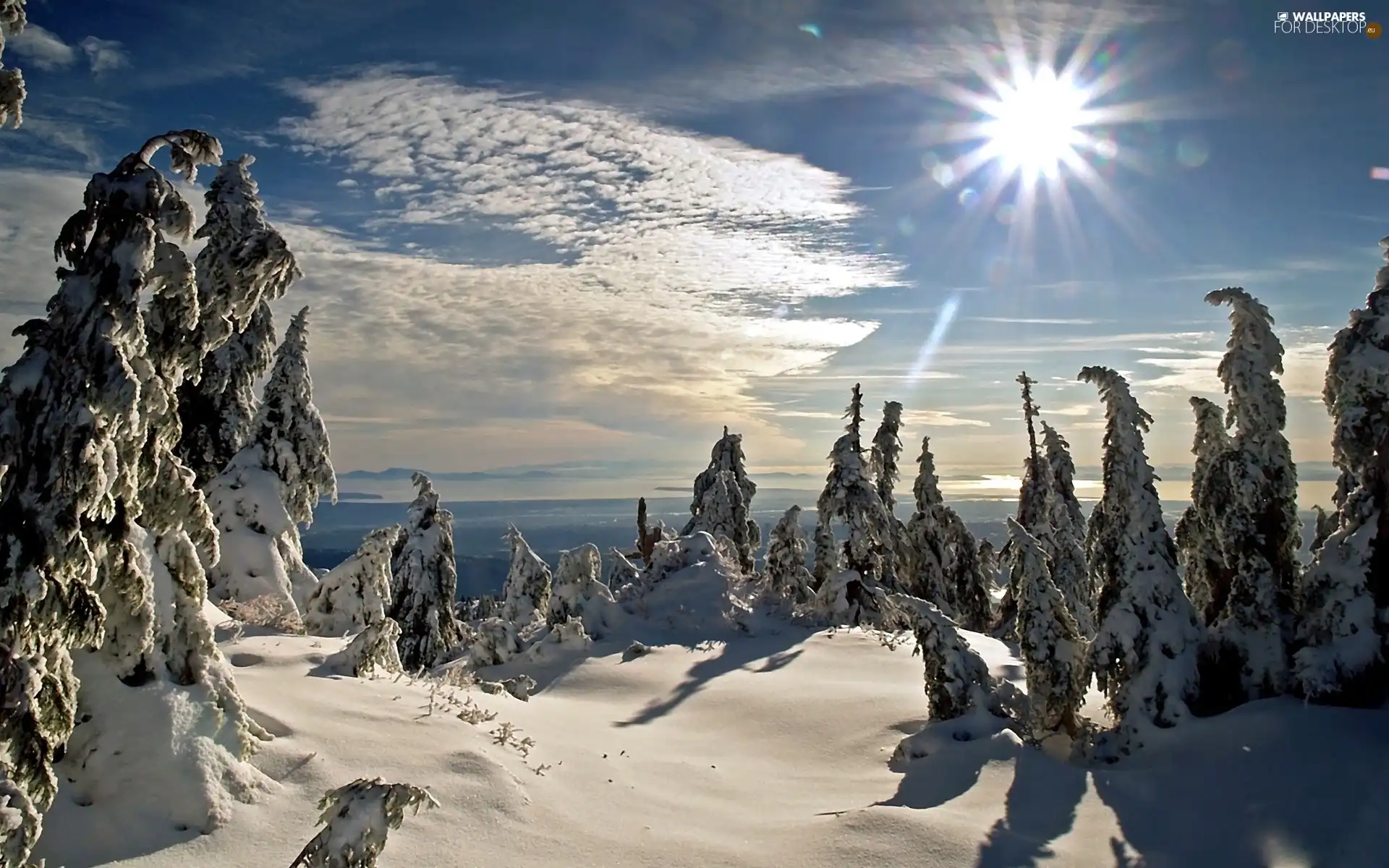 sun, winter, snow