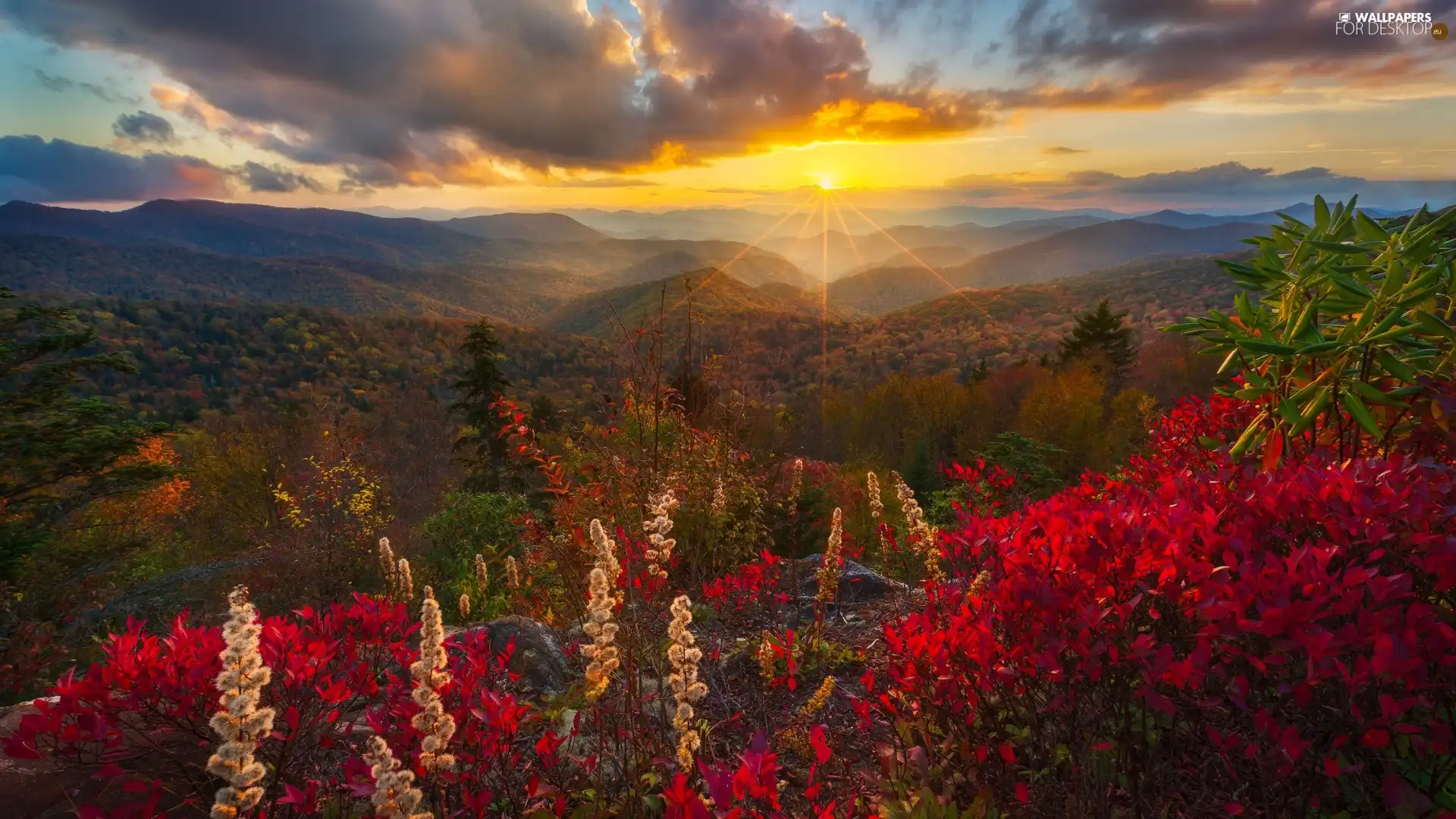 Mountains, autumn, viewes, Bush, trees, rays of the Sun
