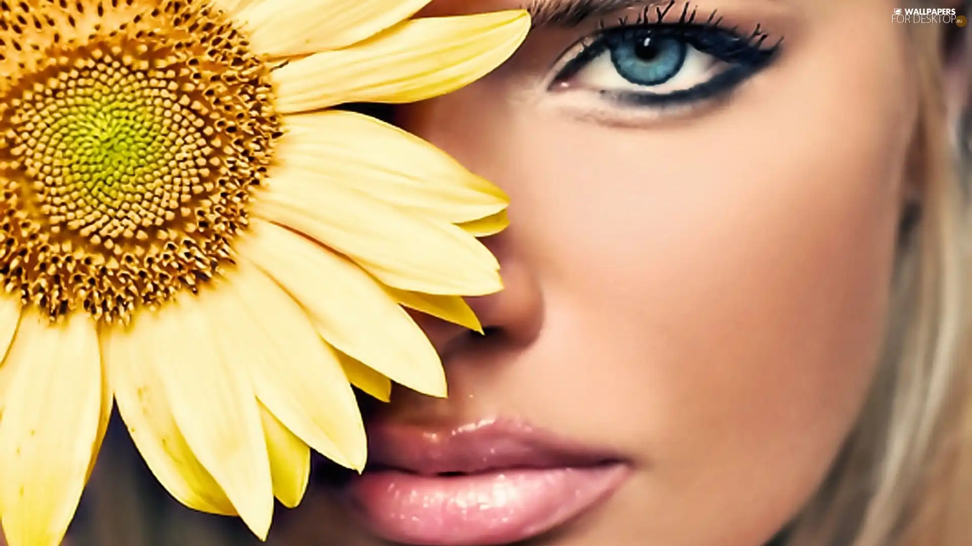 Sunflower, face, Womens