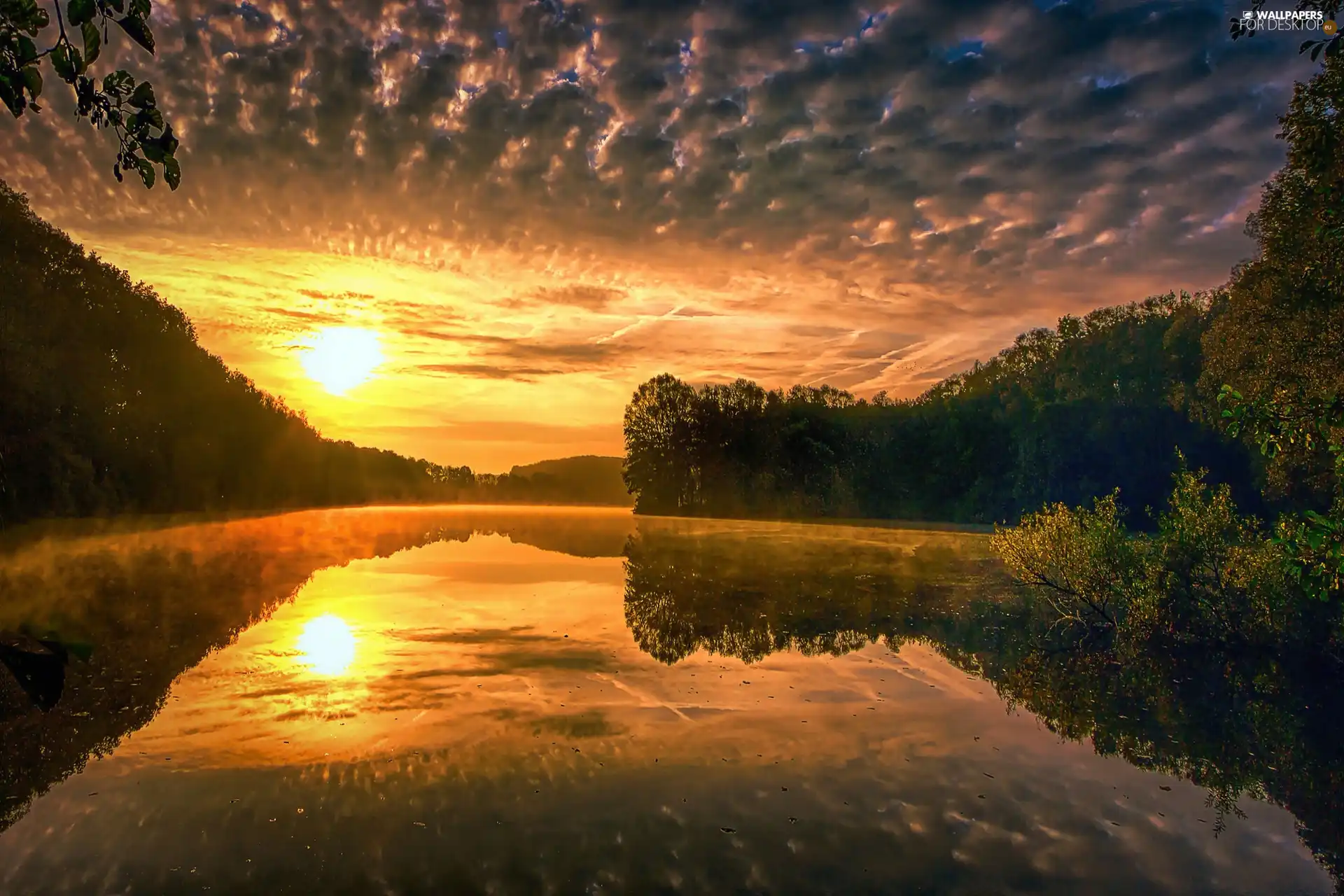 clouds, River, Sunrise, forest