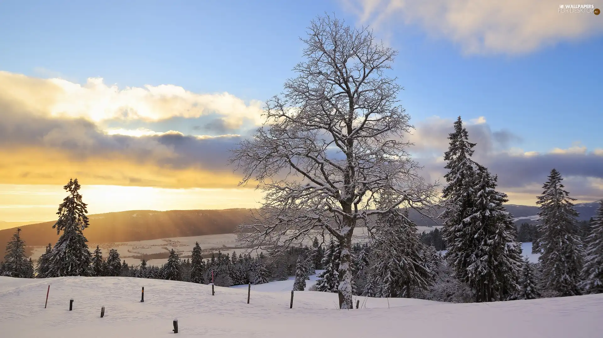 viewes, winter, Sky, Sunrise, The Hills, trees