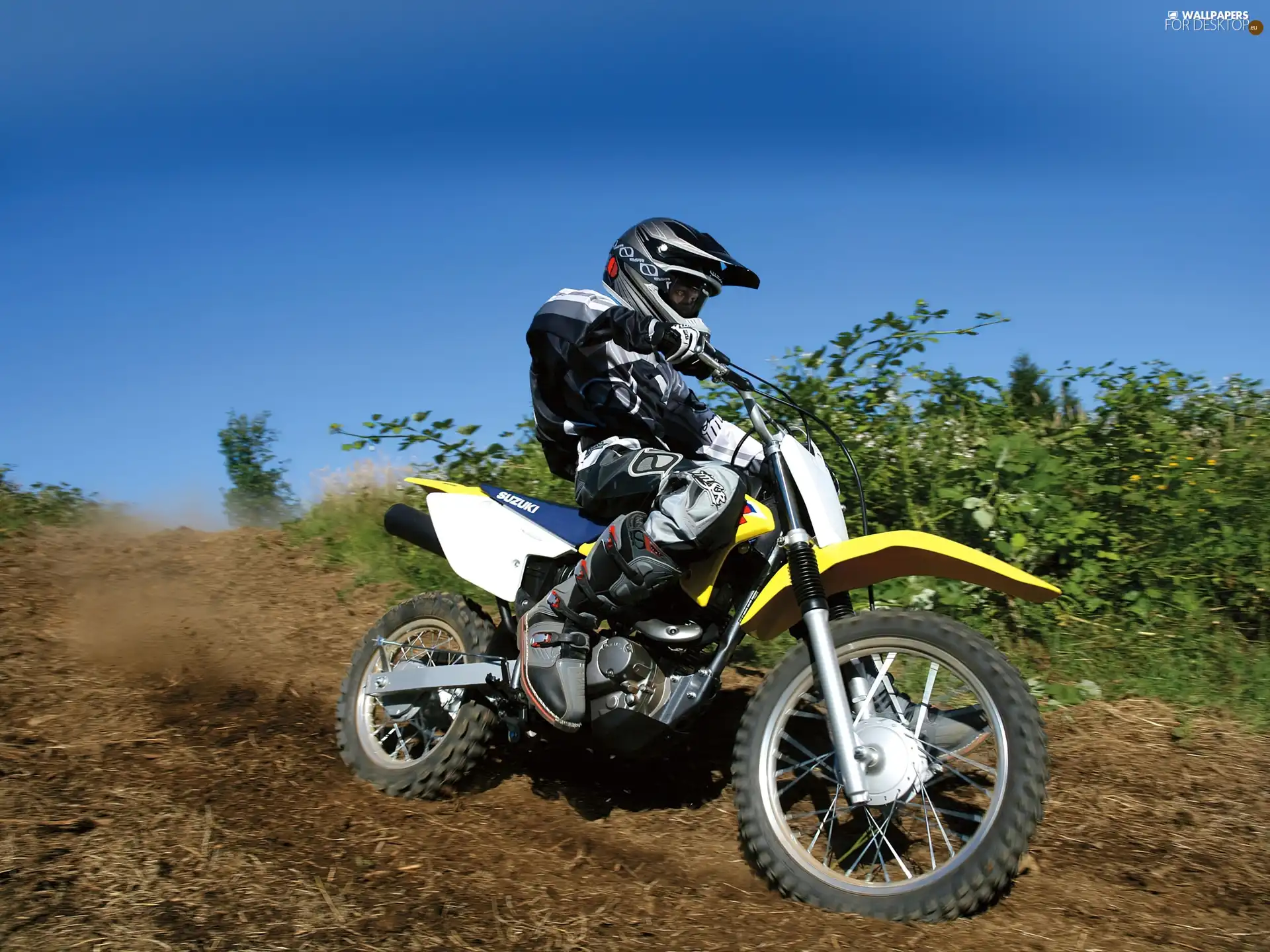 rally, Cross, Suzuki DRZ 125