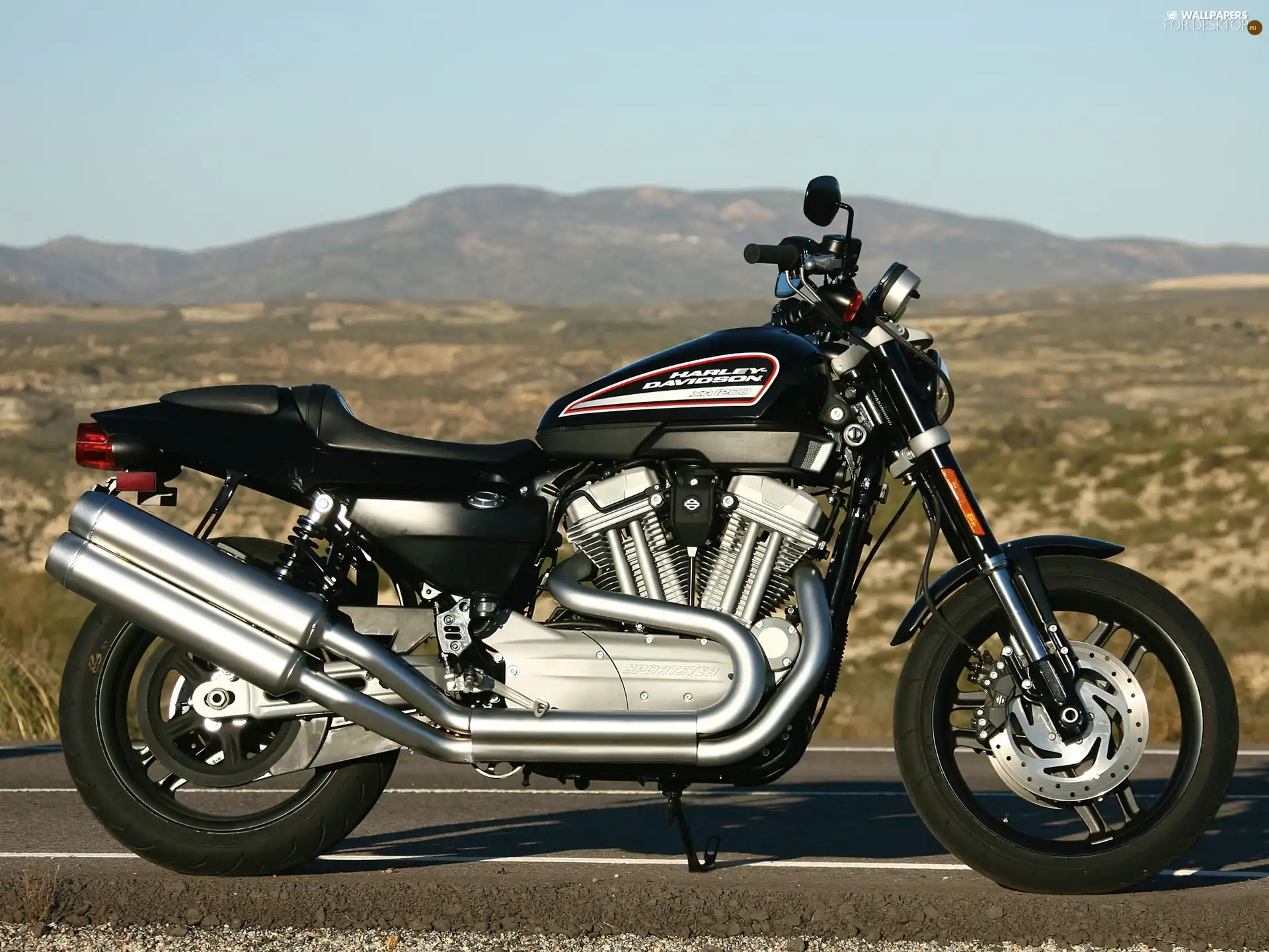 exhaust, Harley Davidson XR1200, system