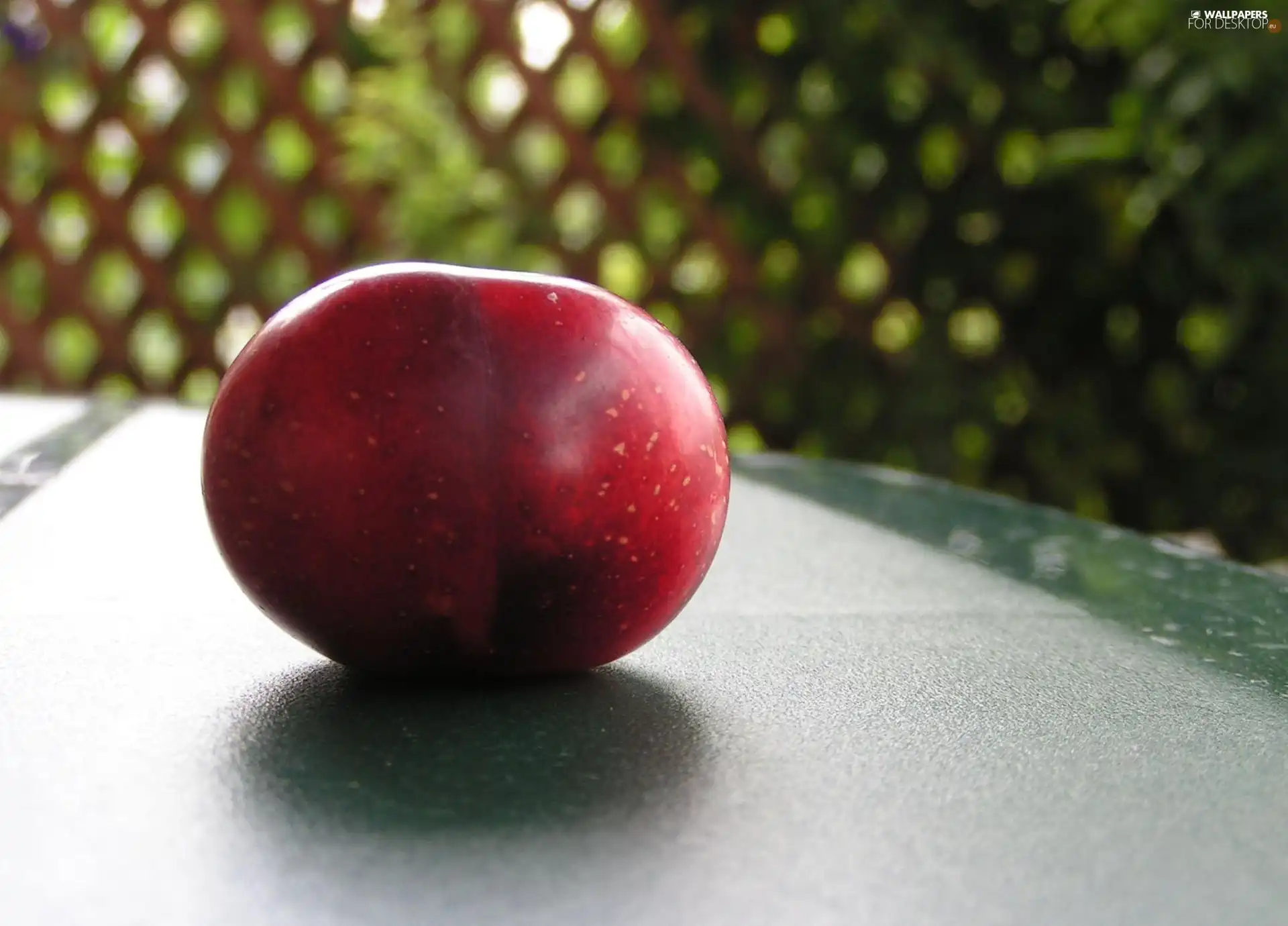 Red, blade, table, Apple