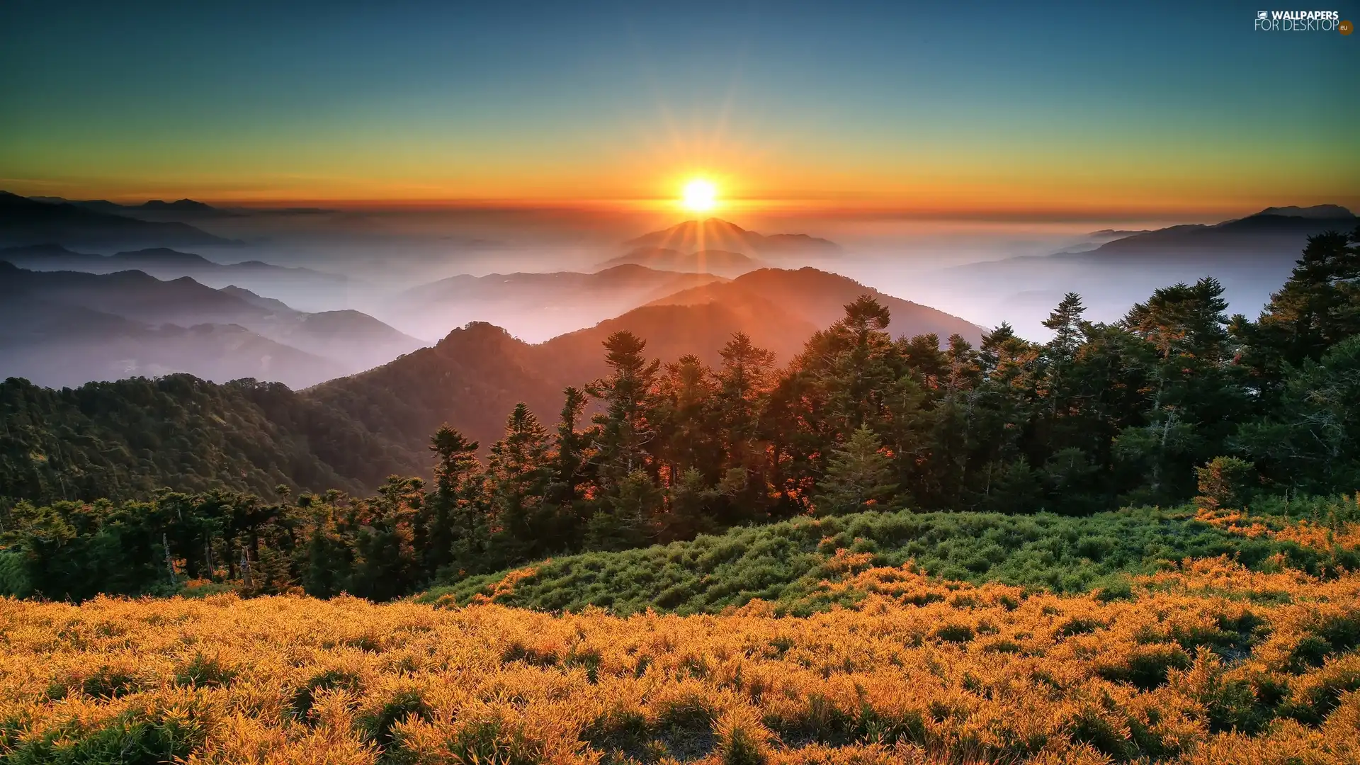 China, Taiwan, Fog, west, Mountains, Park, national, sun