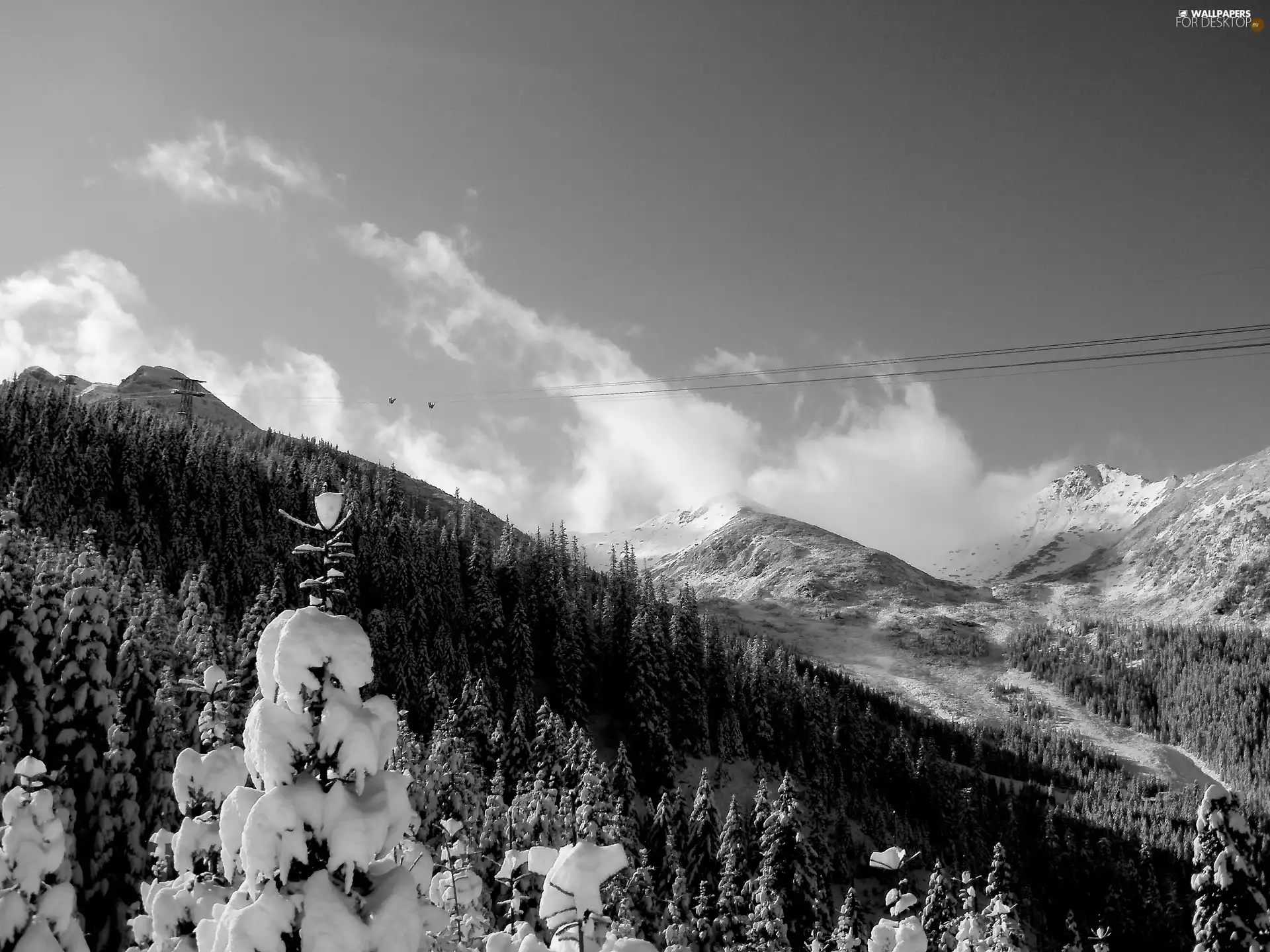 Tatras