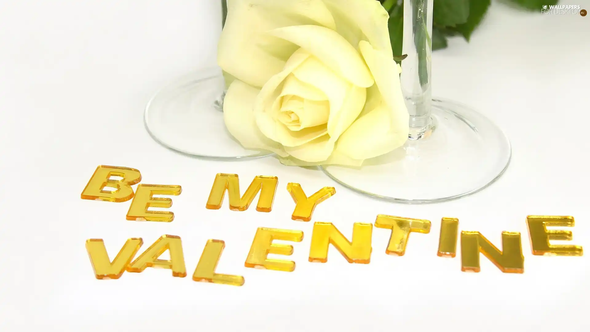 Yellow Honda, love, text, rose
