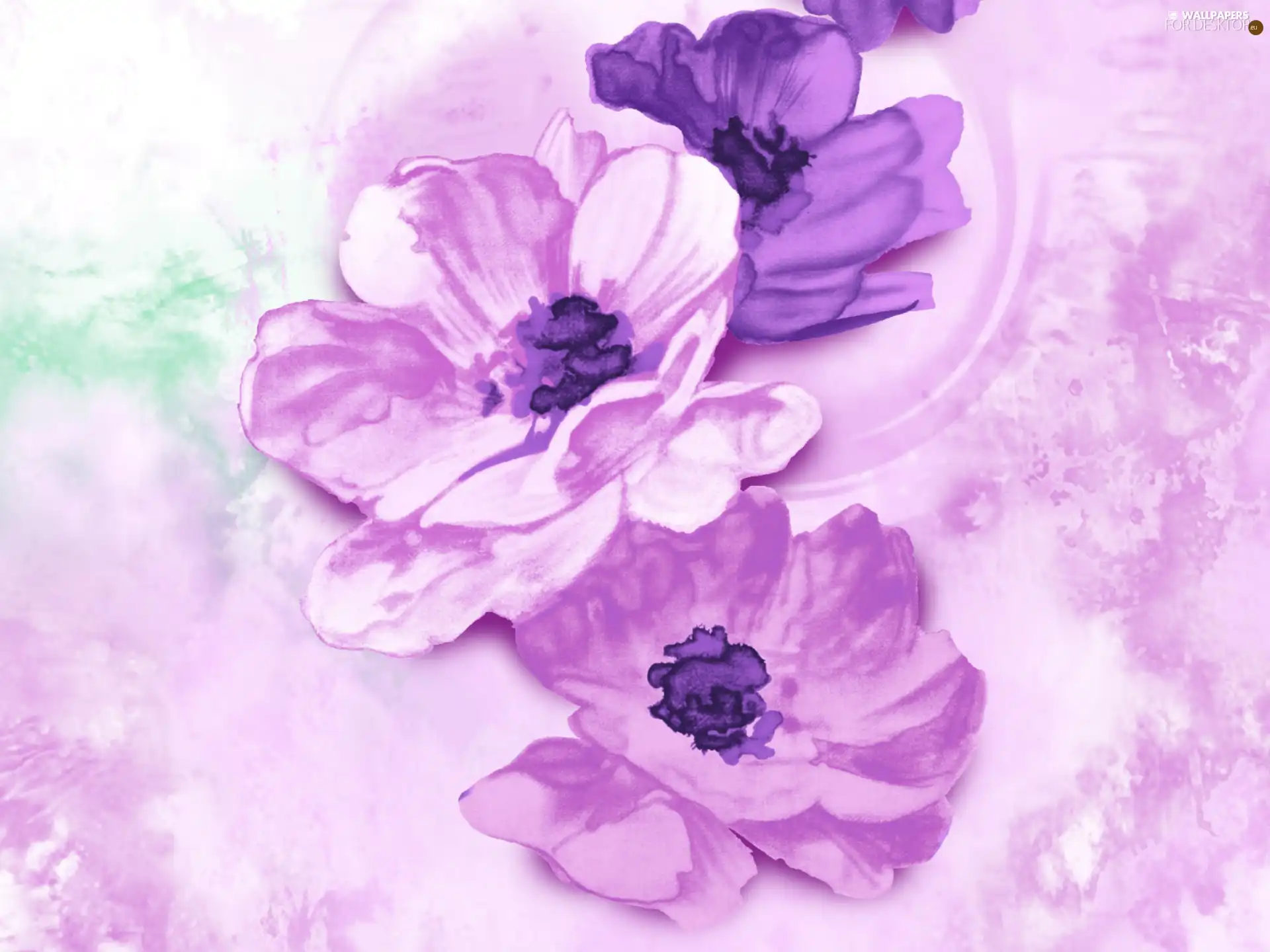 texture, purple, papavers