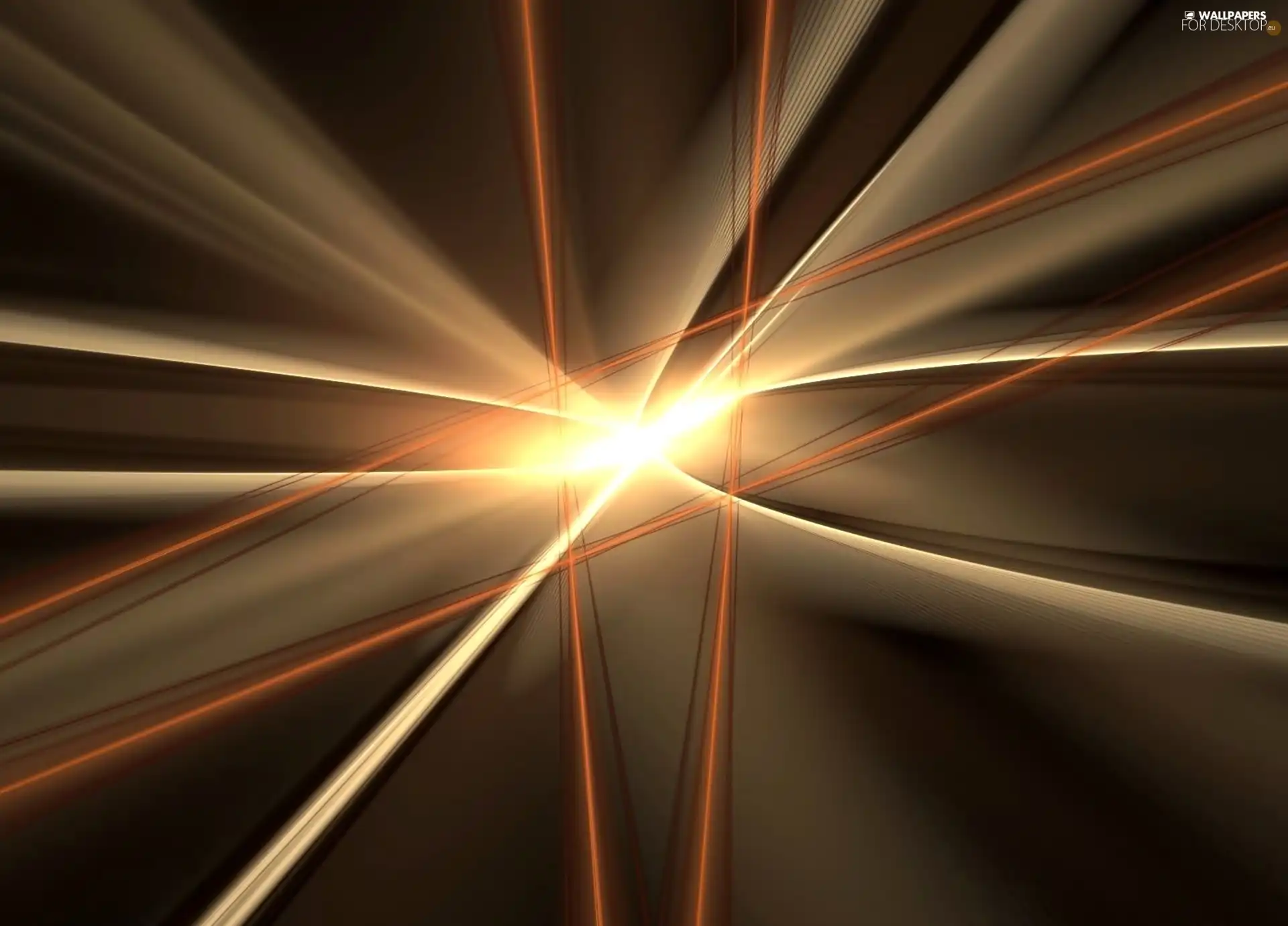 Belts, Brown, The luminous